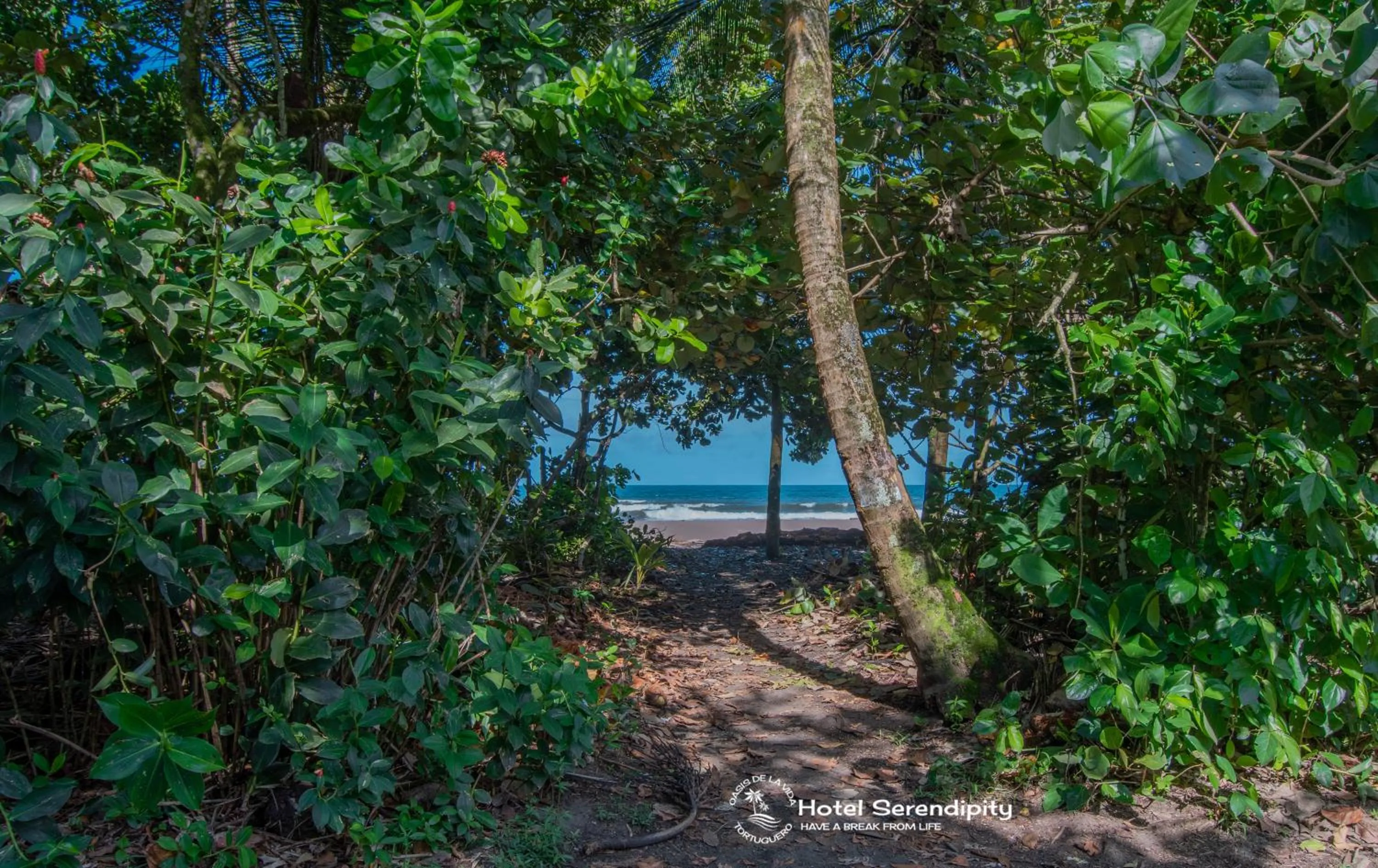 Day in Hotel Serendipity