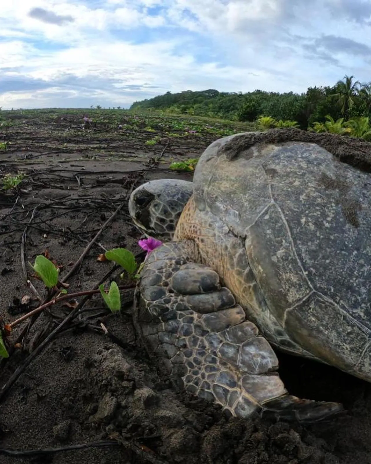 Day in Hotel Serendipity