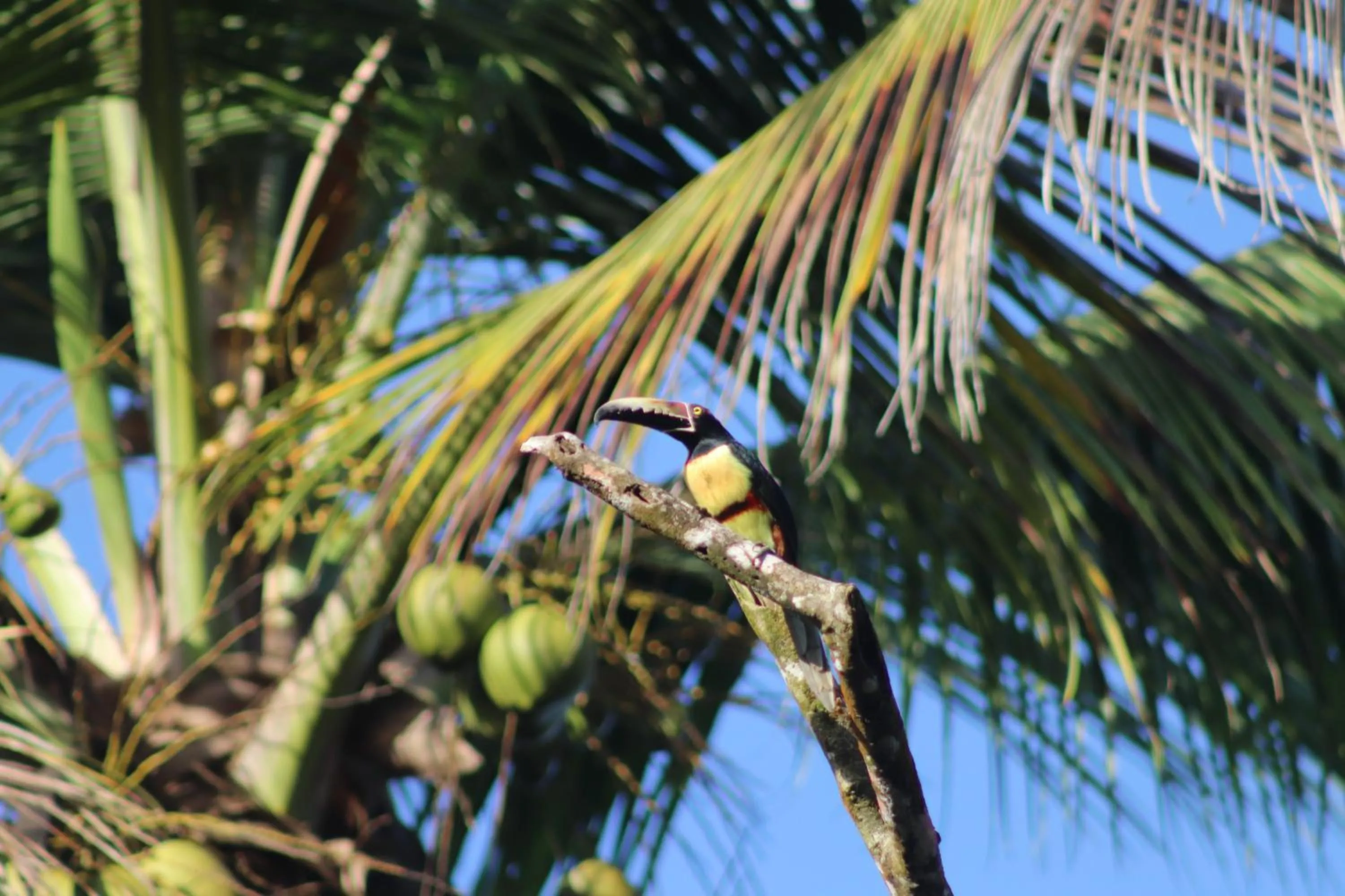 Day in Hotel Serendipity