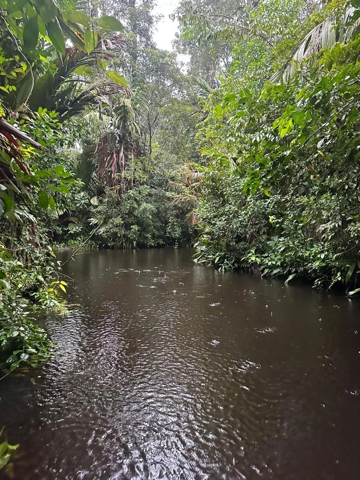 Natural landscape in Hotel Serendipity