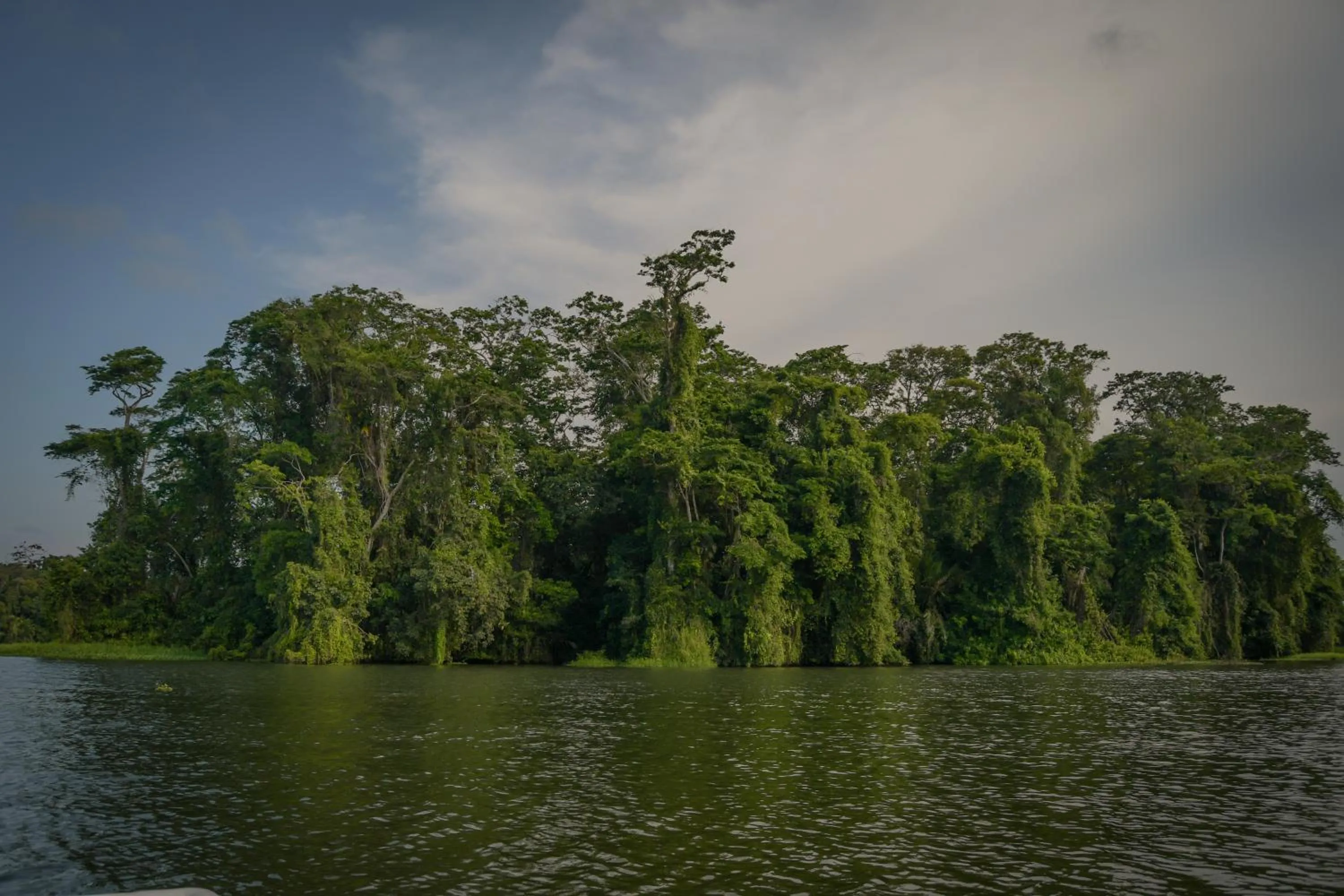 Natural landscape in Hotel Serendipity