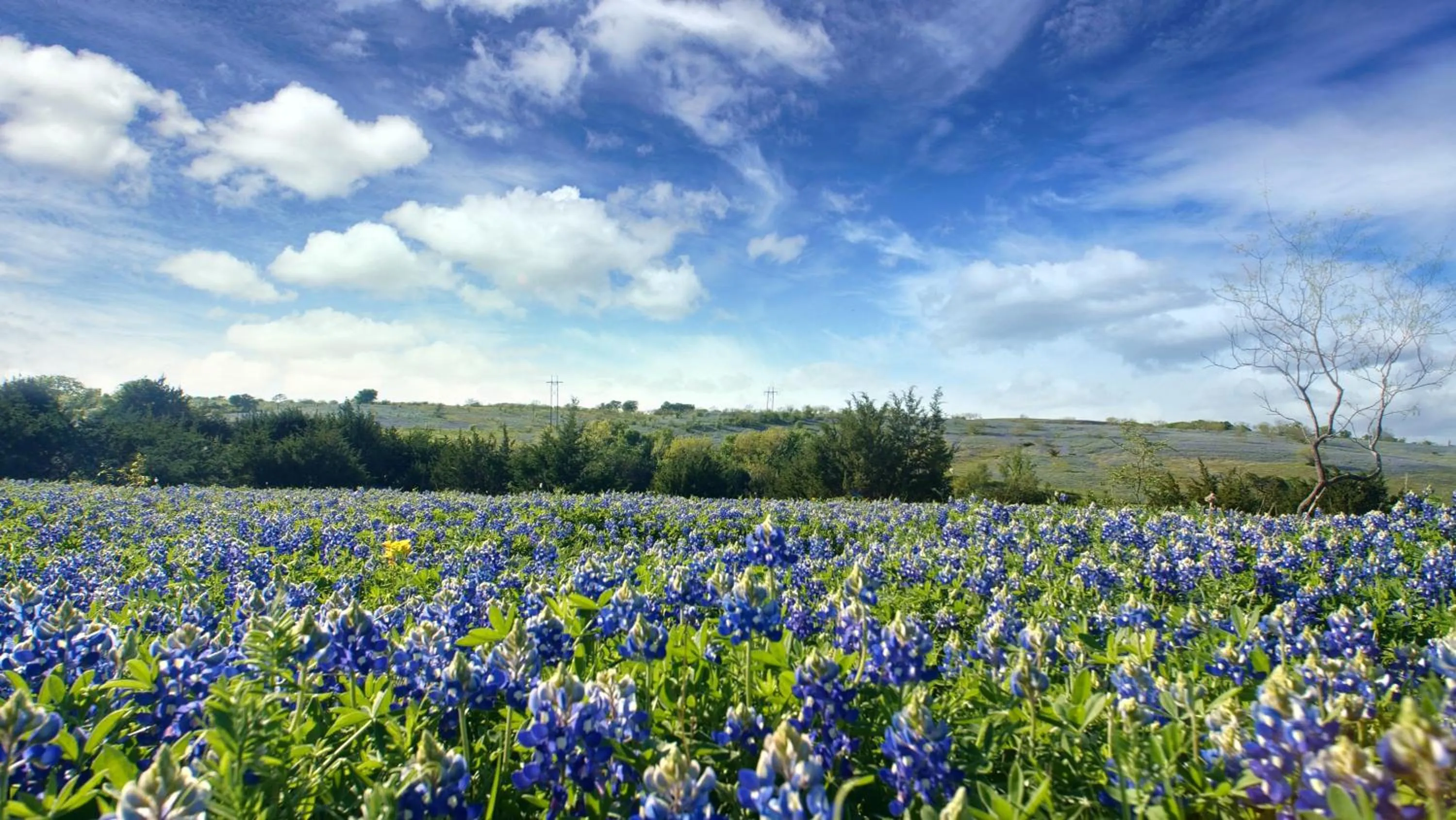 Natural landscape in Blue Hills Ranch