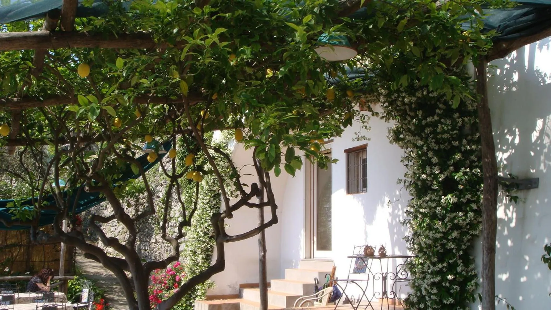 Garden in Villa Rina