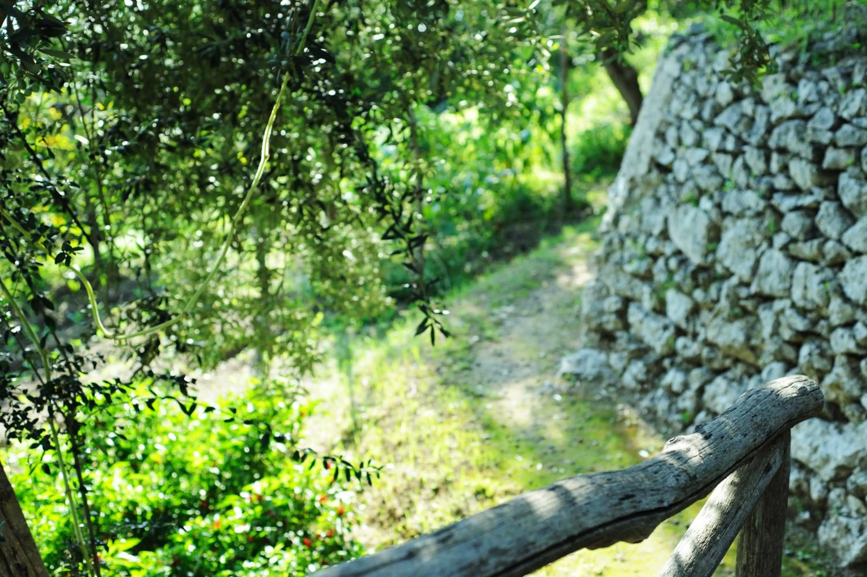 Garden in Villa Rina