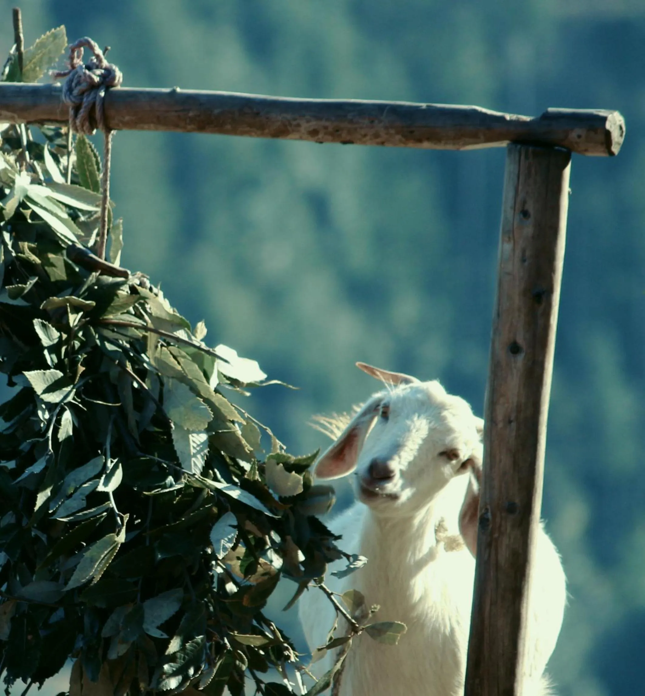 Off site in Veda Inn