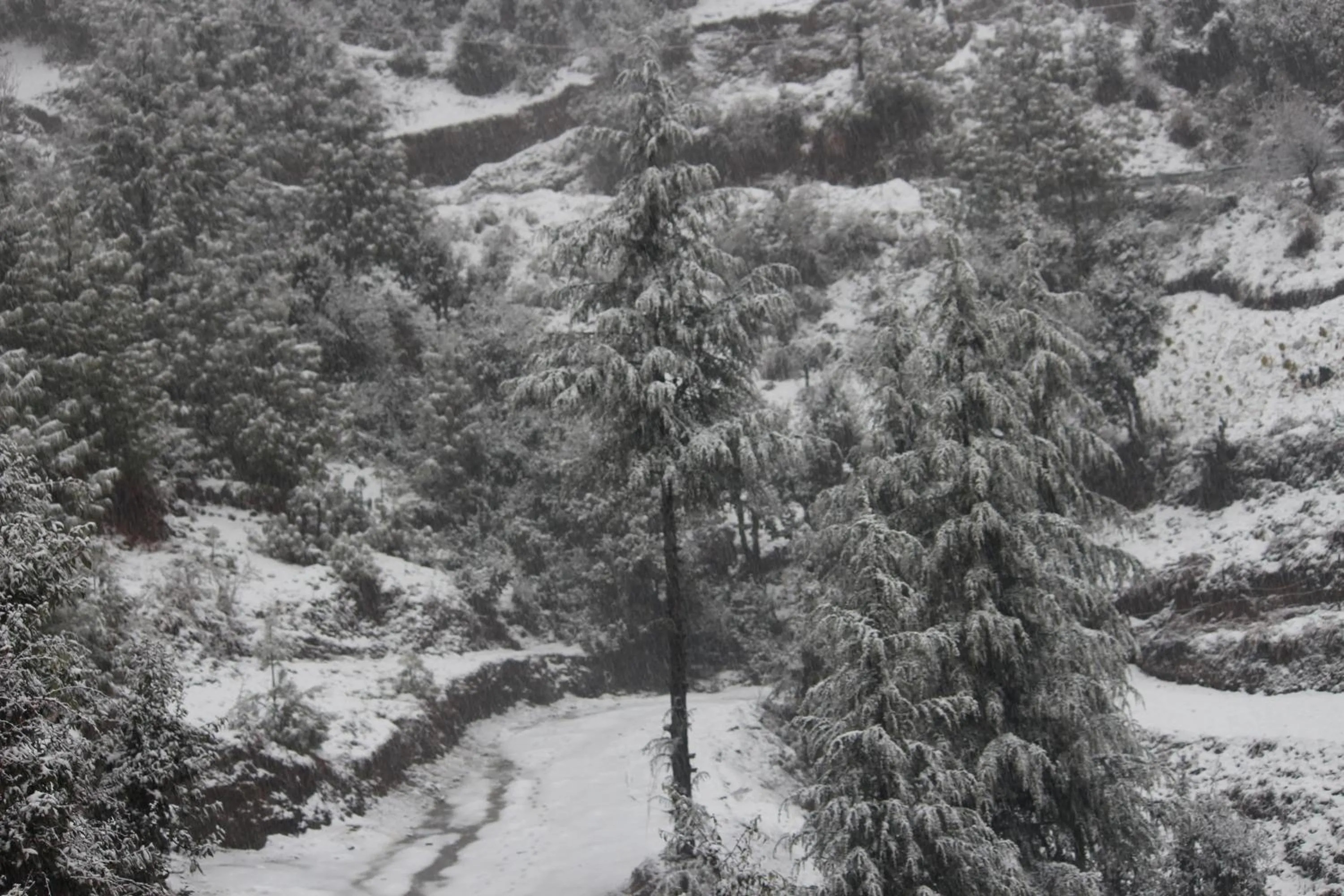 View (from property/room) in Veda Inn