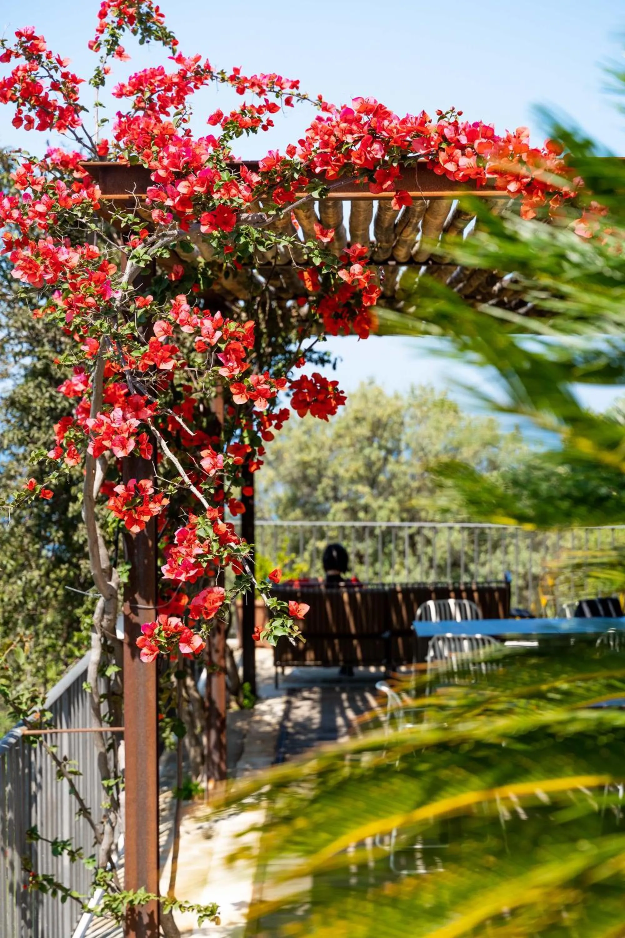 Garden view in B&B Baia Di Trentova