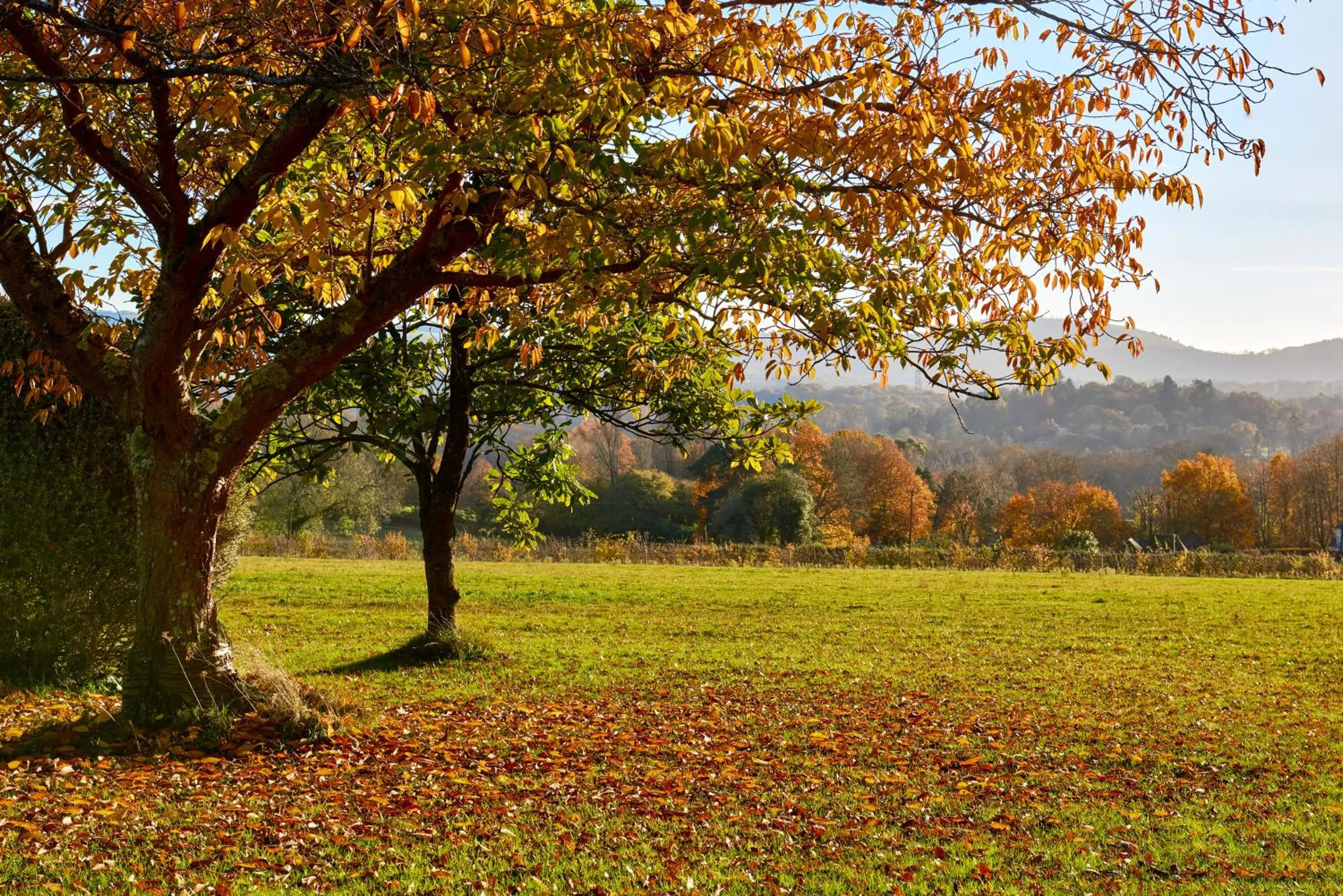 View (from property/room) in Garden flat near Goodwood with stunning views