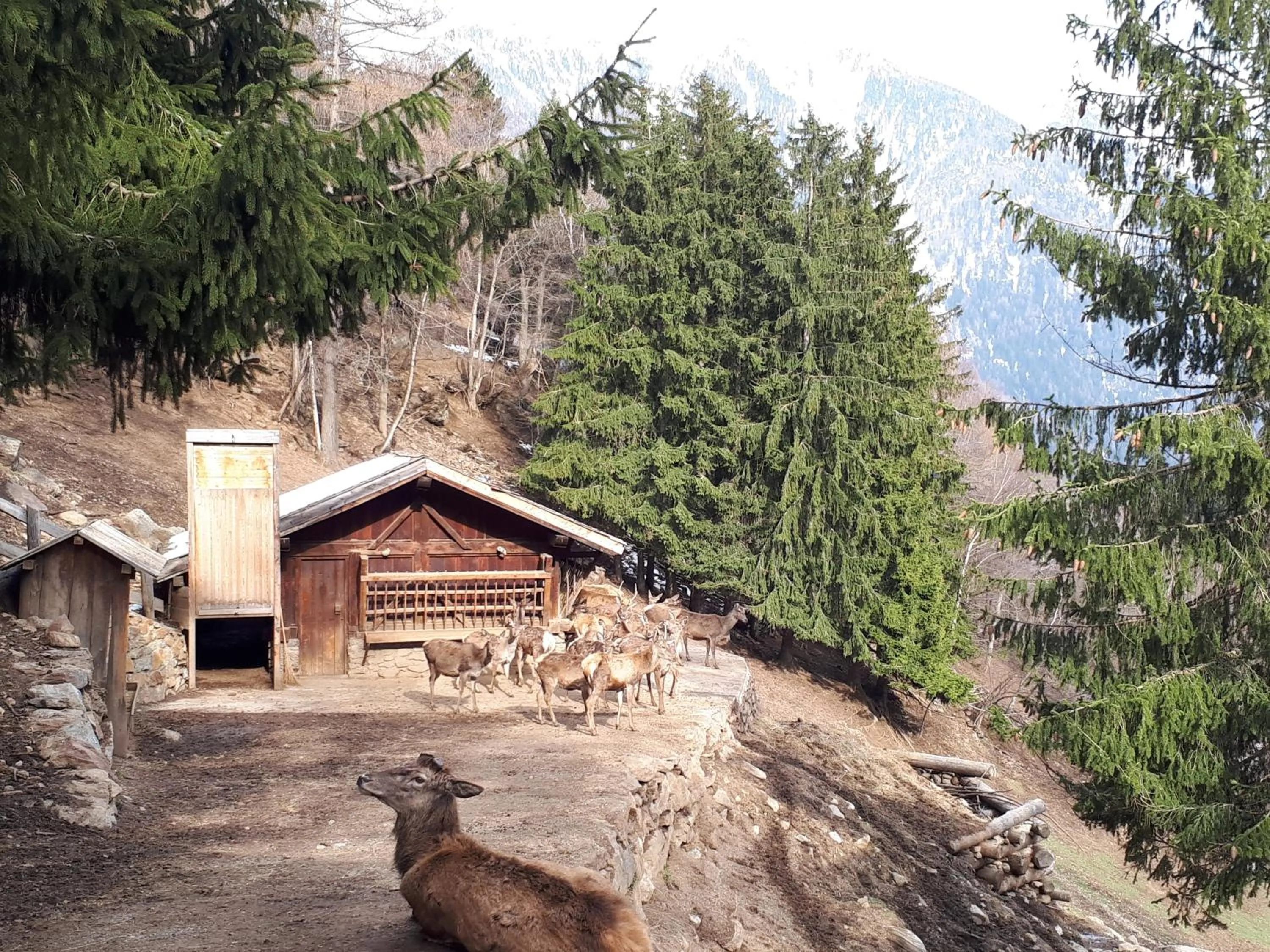 Nearby landmark in Hotel Ortles Dolomiti Walking & Spa