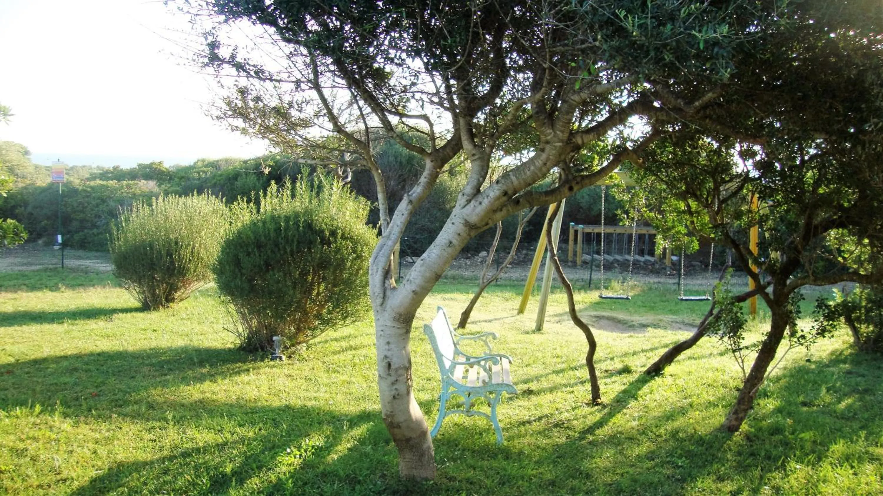 Garden in Hotel Cala Reale