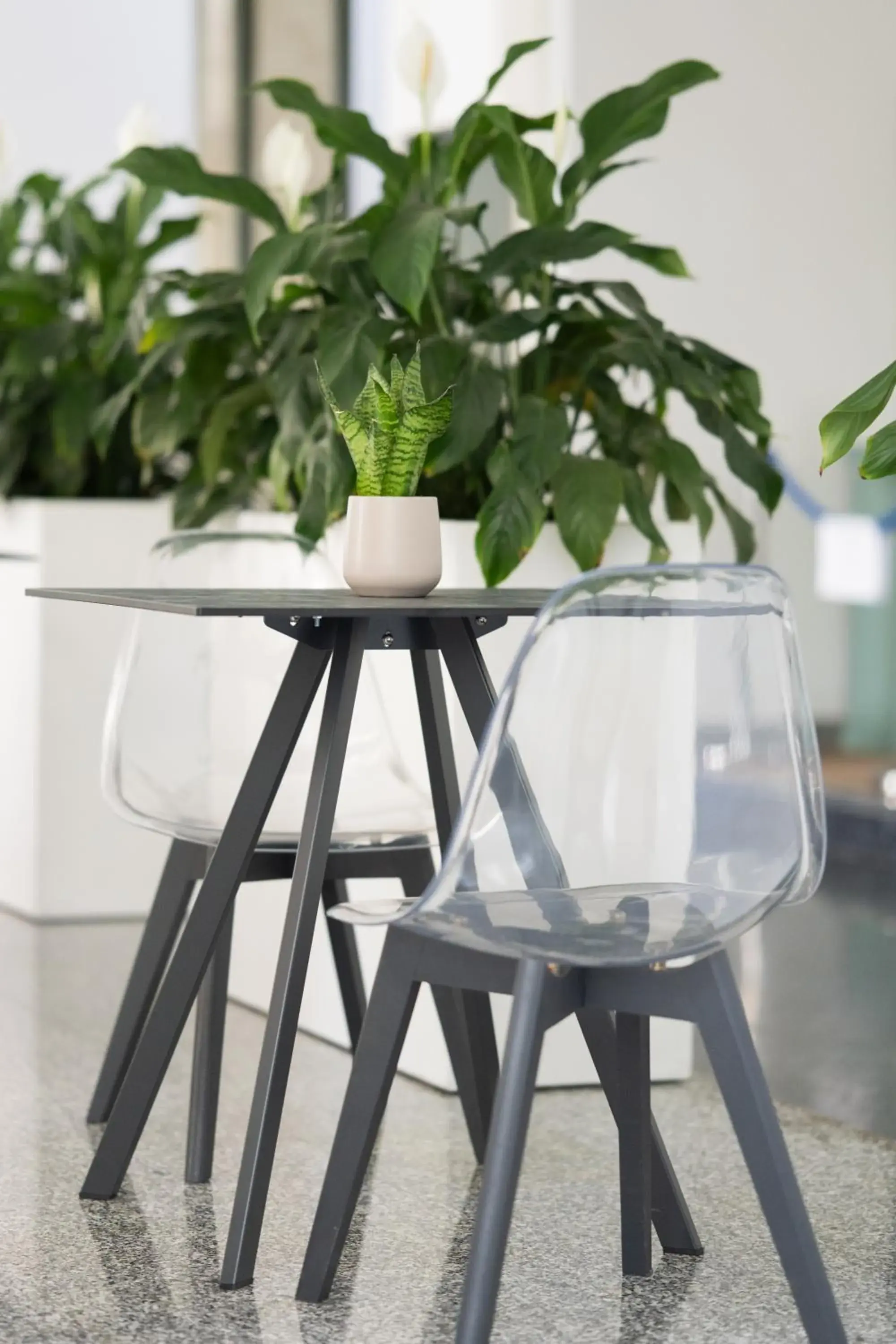 Restaurant/places to eat in Hotel Riva Del Sole Restaurant/places to eat in Hotel Riva Del Sole