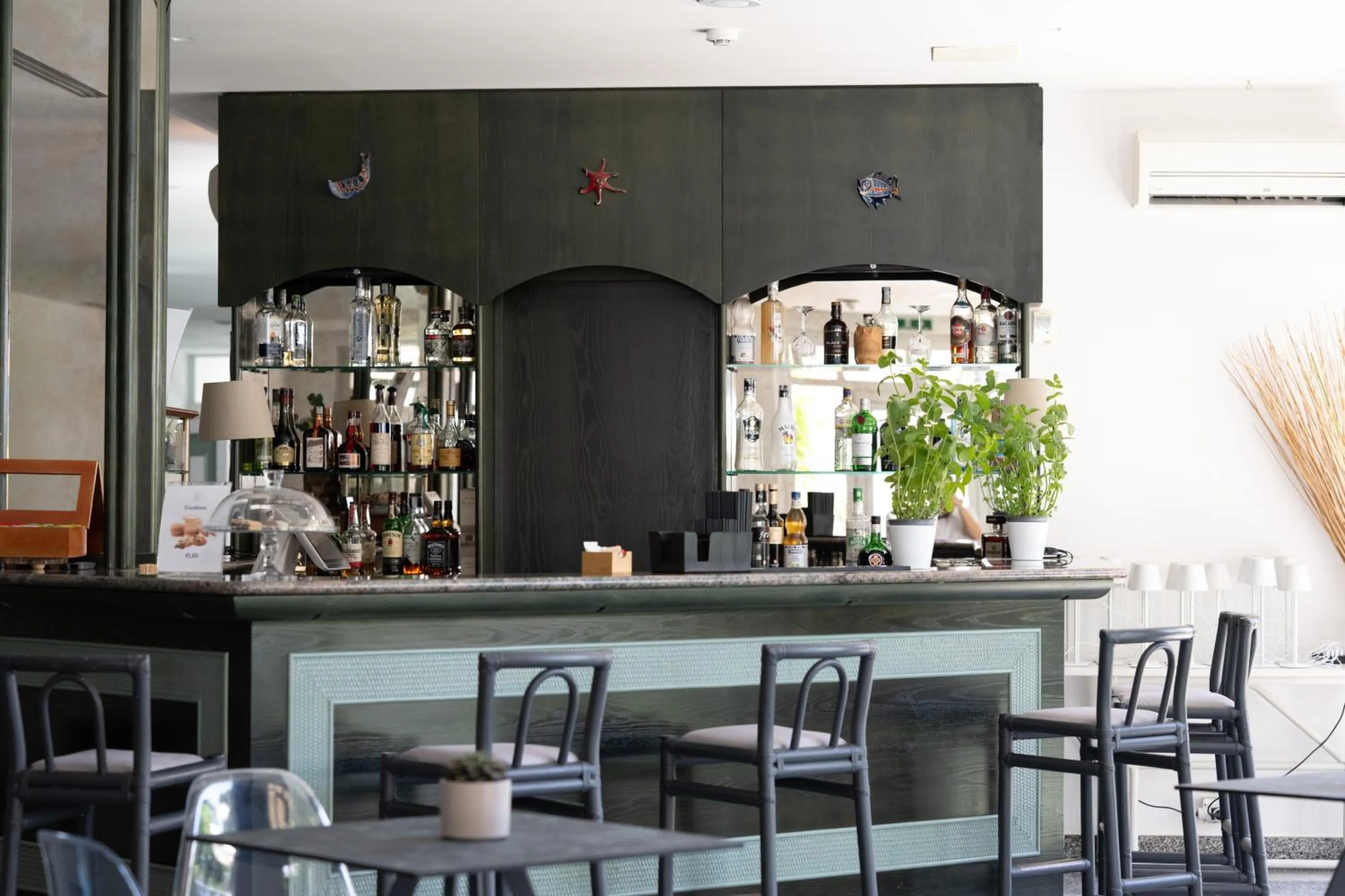 Lounge or bar in Hotel Riva Del Sole