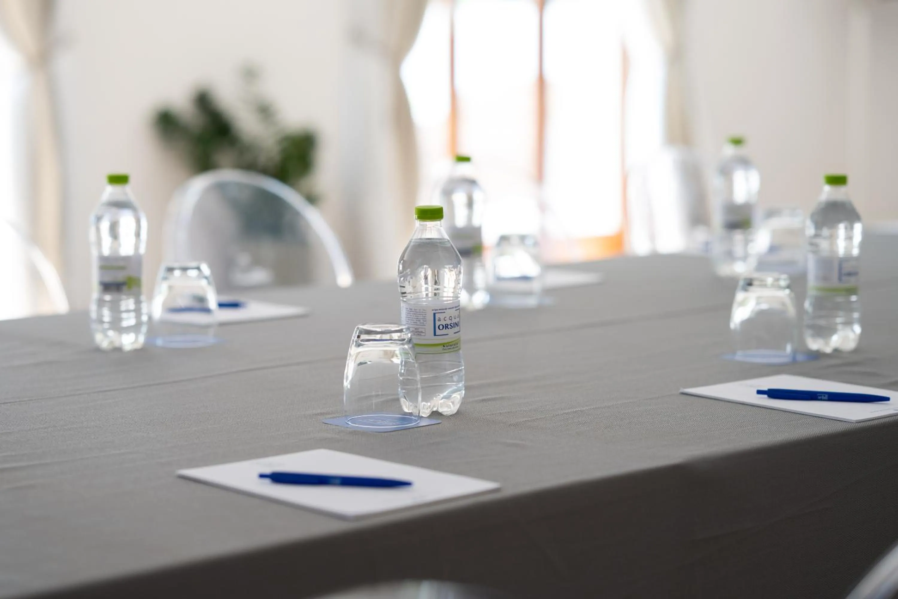 Business facilities in Hotel Riva Del Sole