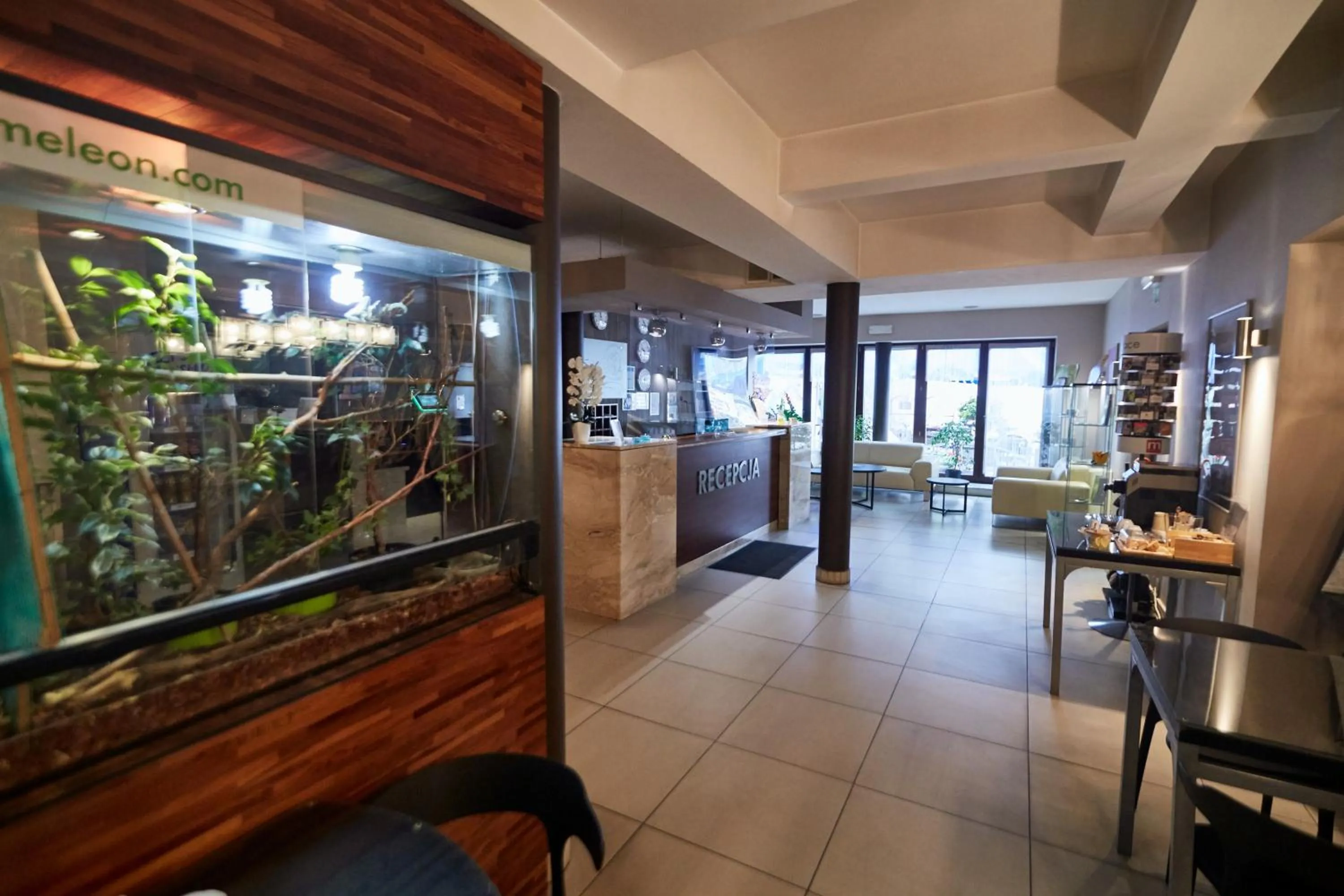 Activities in Hotel&Spa Kameleon