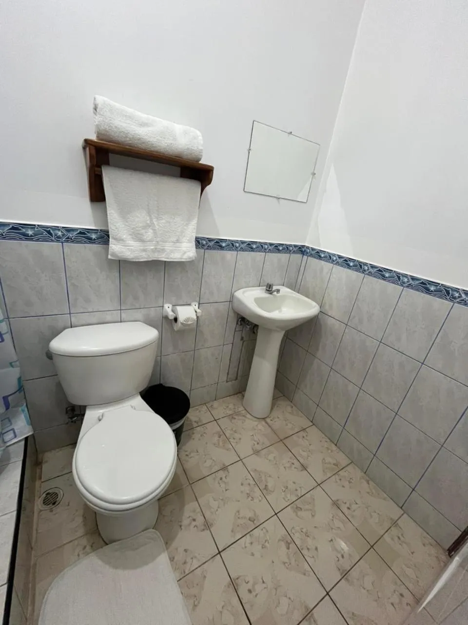 Toilet in Hostal Neptuno - Poseidon