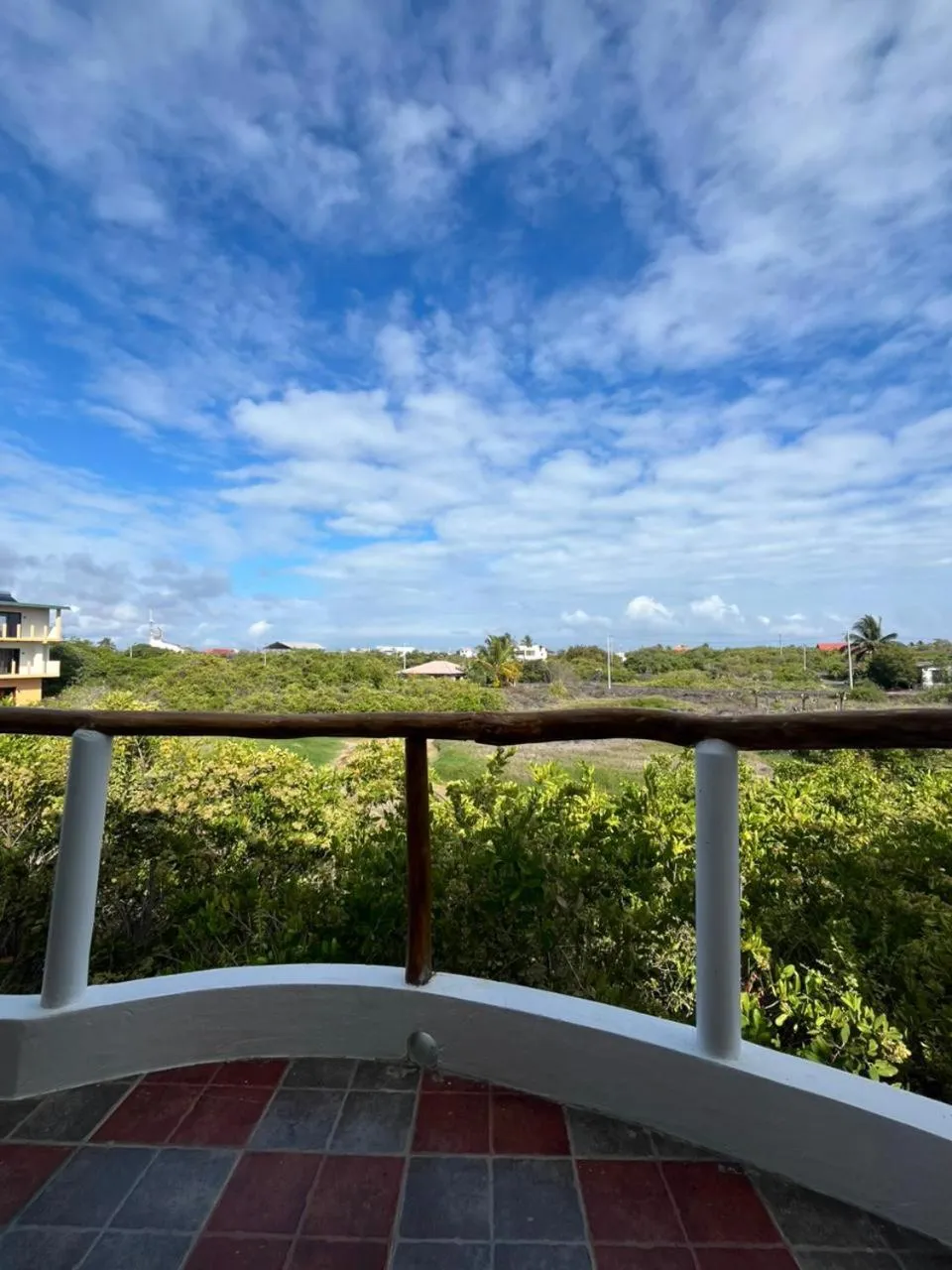 Garden in Hostal Neptuno - Poseidon