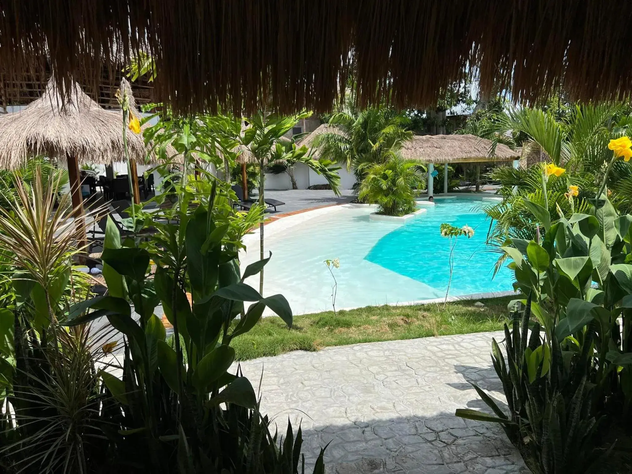 View (from property/room) in Secret paradise moalboal View (from property/room) in Secret paradise moalboal