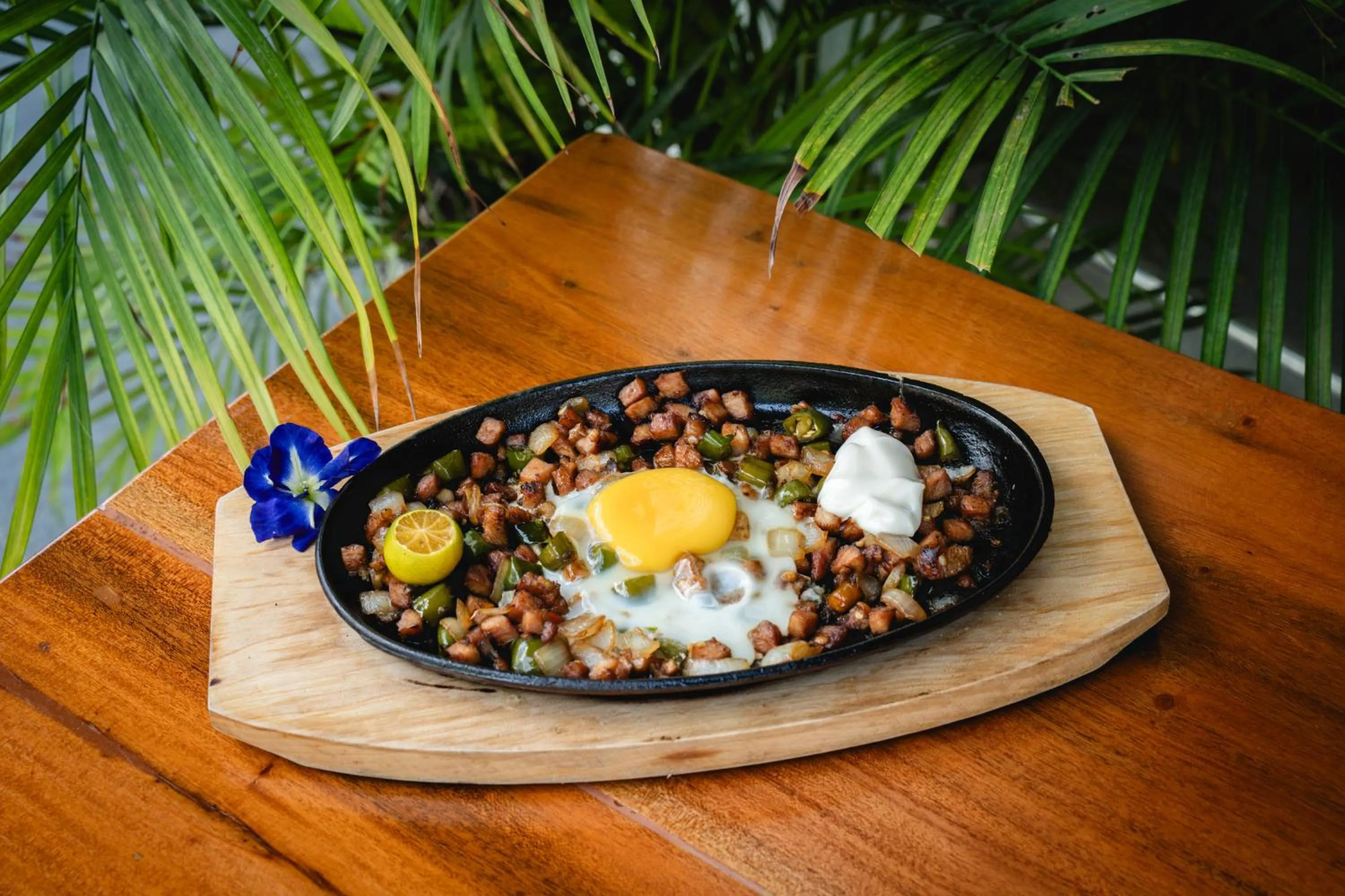 Secret paradise moalboal