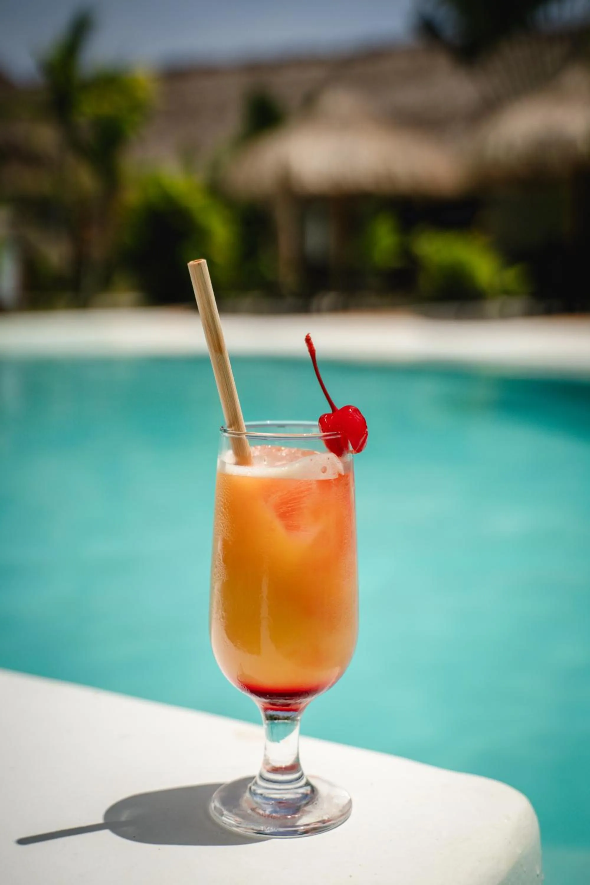 Secret paradise moalboal