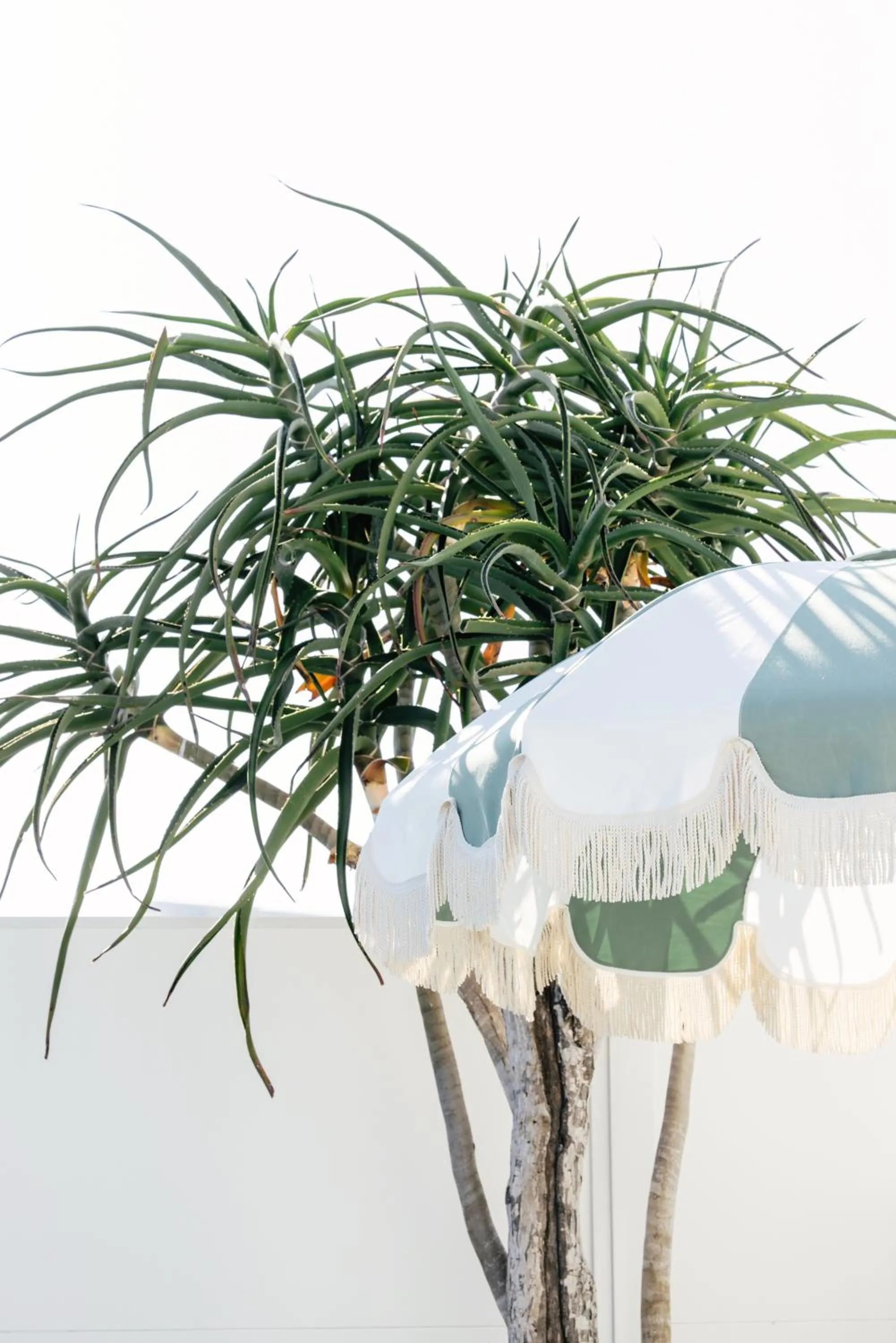 Swimming pool in Motel Molly - Boutique Hotel Mollymook