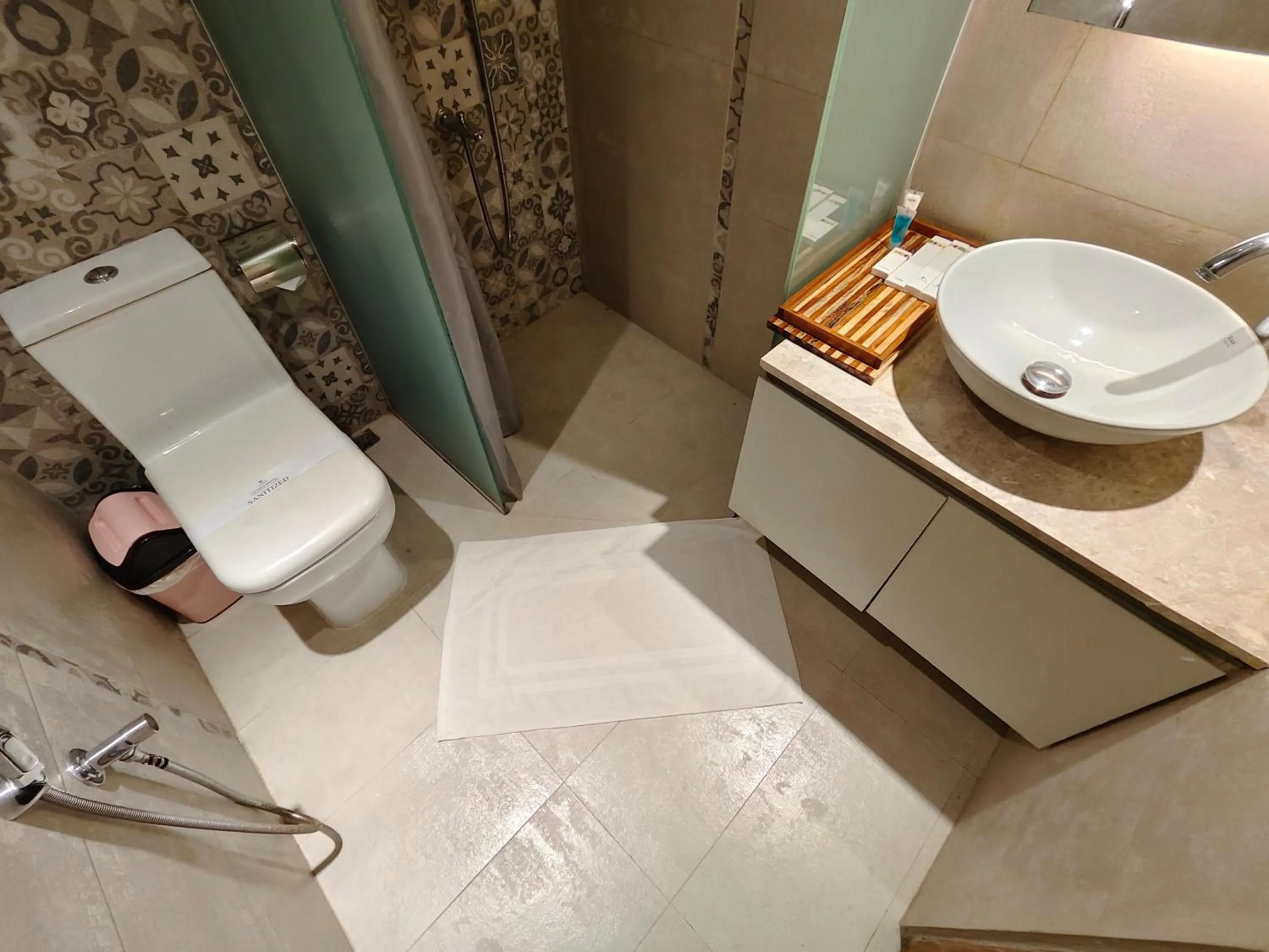 Toilet in Hotel Nandini