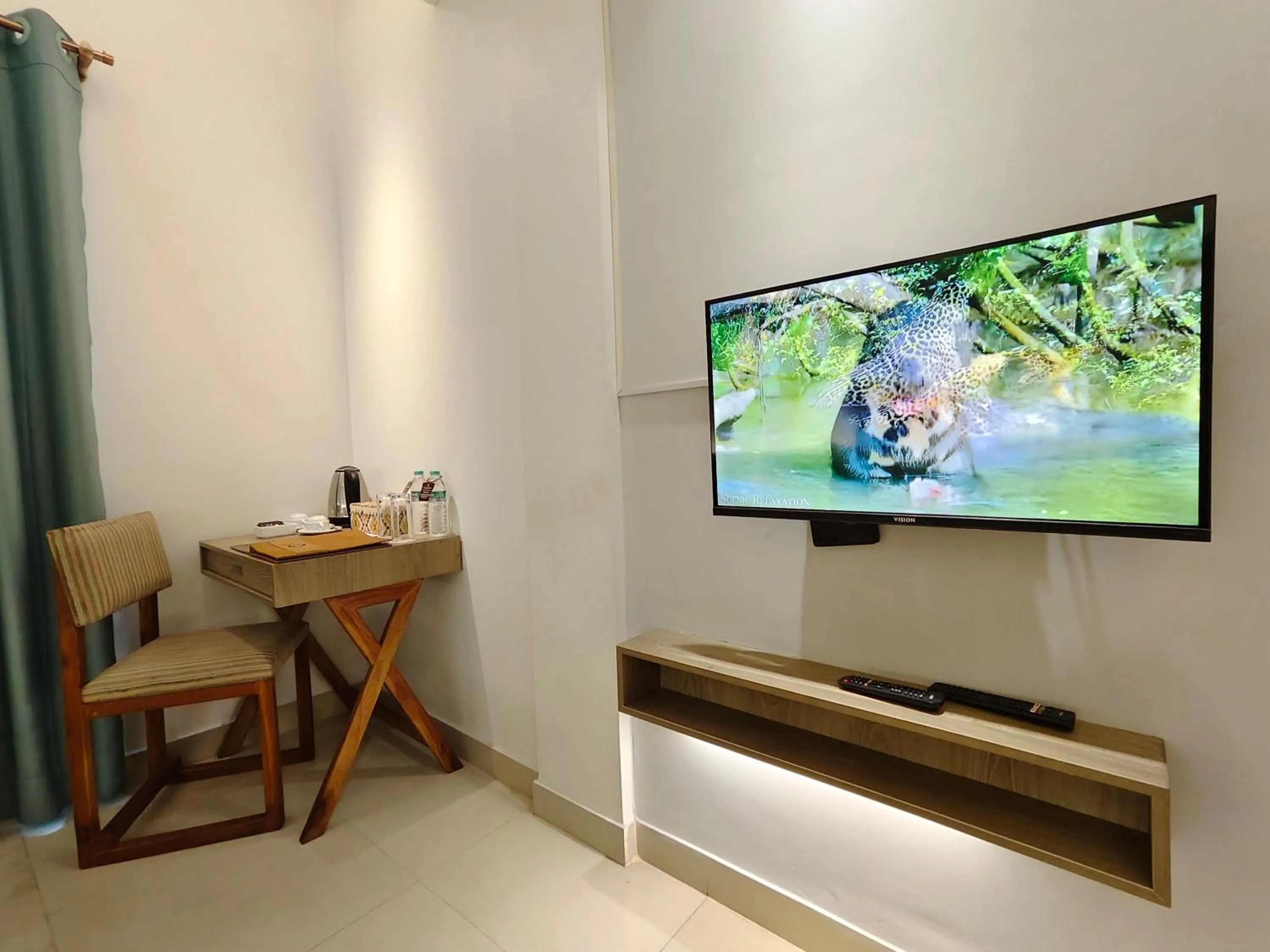 TV and multimedia in Hotel Nandini