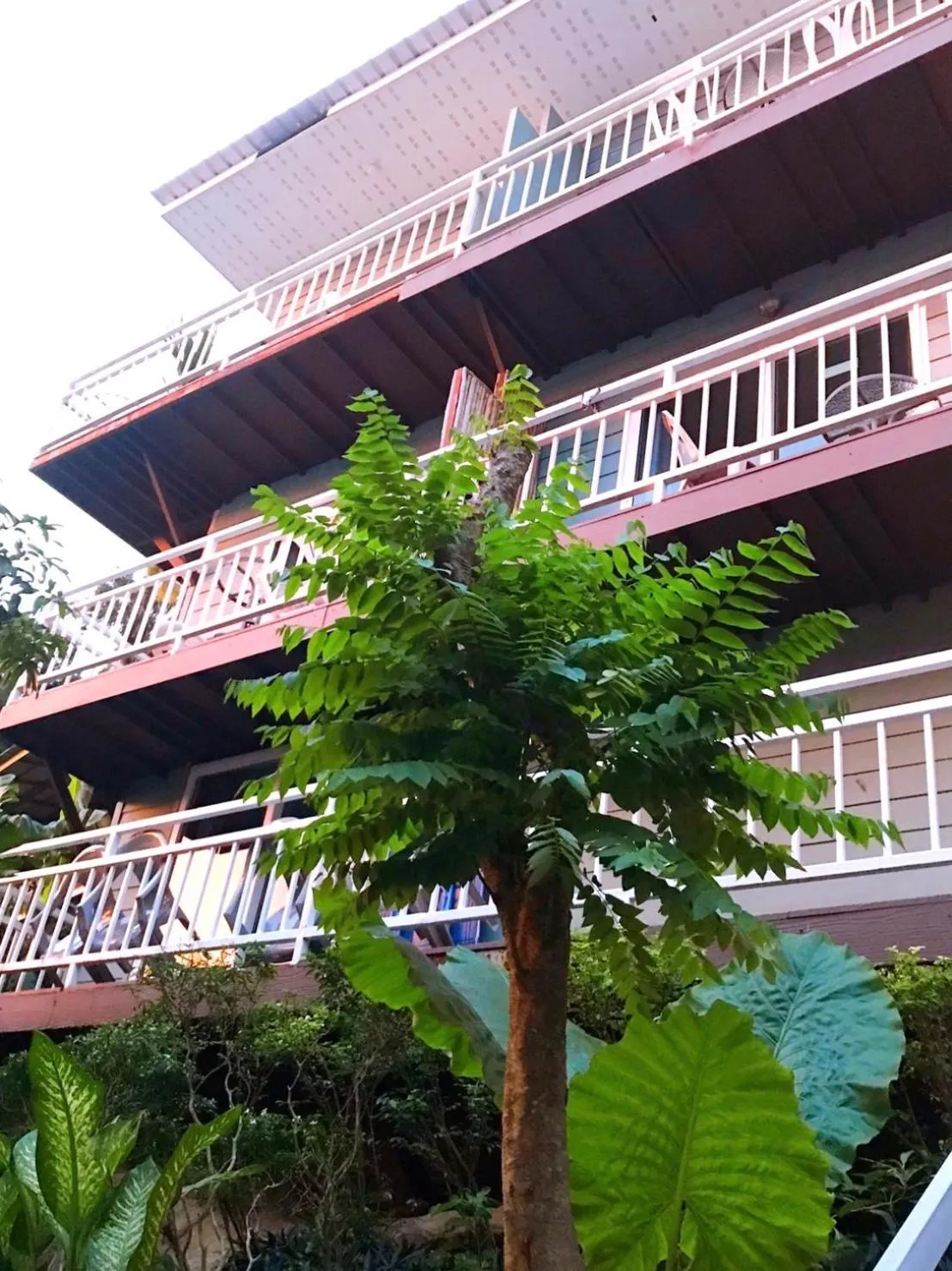 Property building in Blue View House Phi Phi