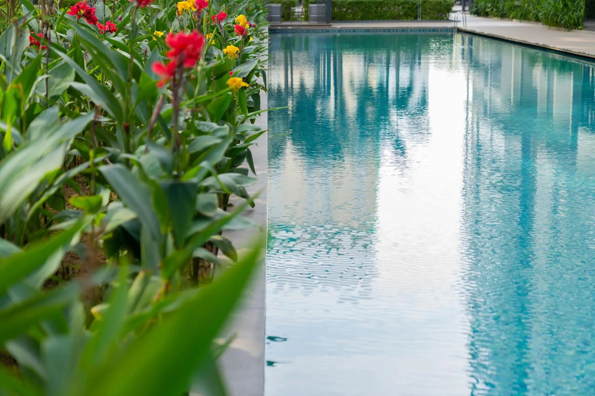 Swimming pool in 85 SOHO Hotel & Apartment