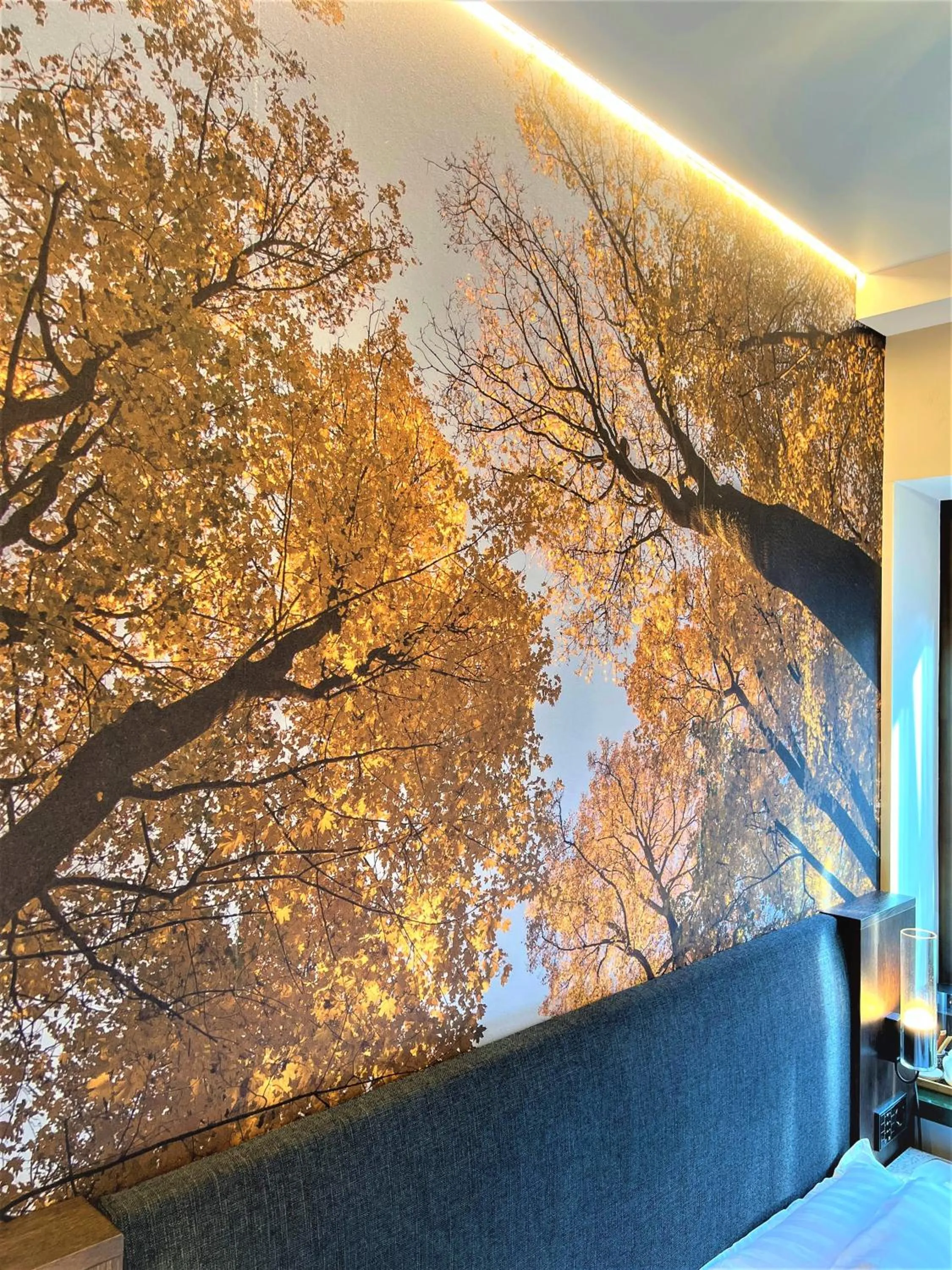 Communal lounge/ TV room in Villa Lettonia