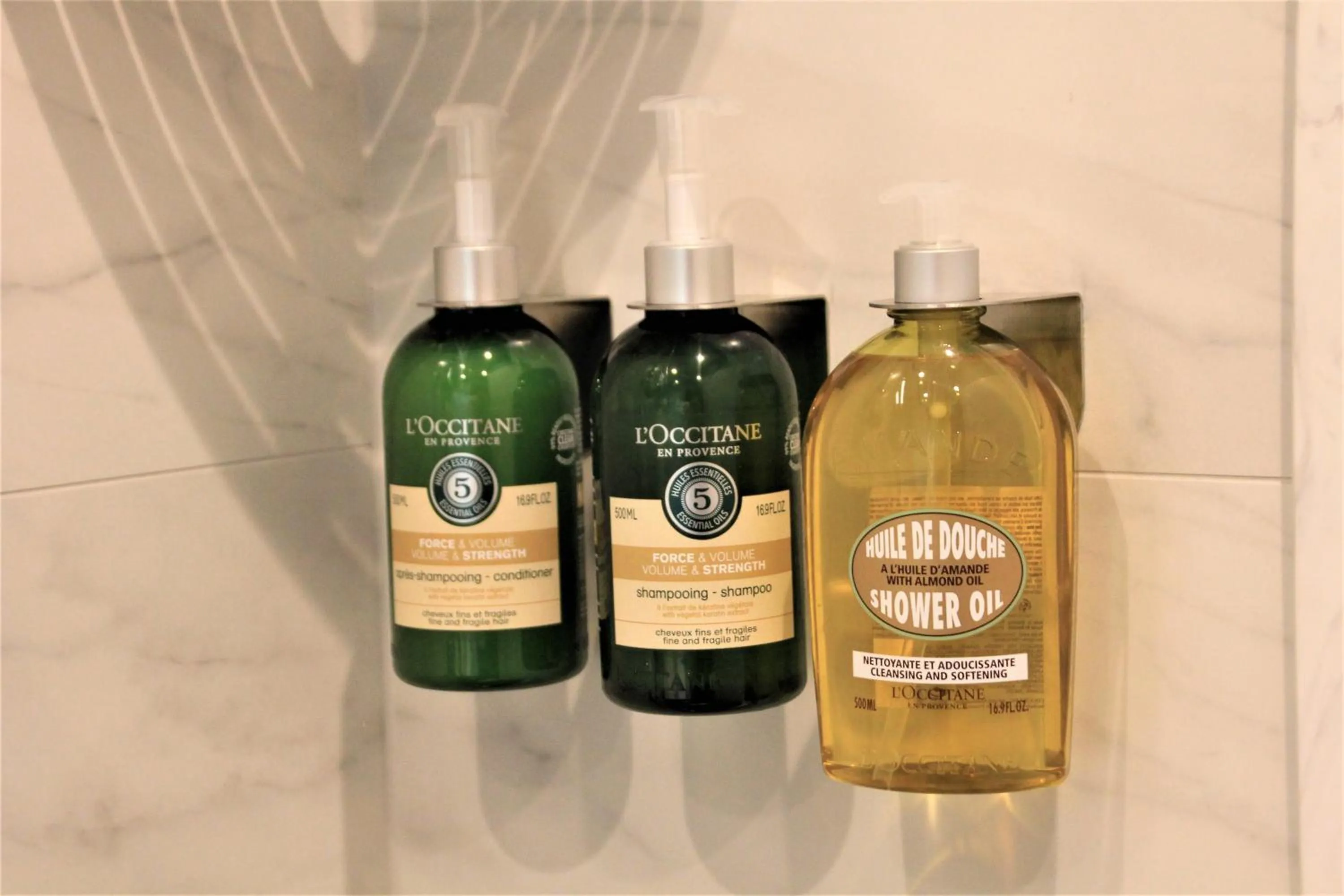 pet friendly in Villa Lettonia