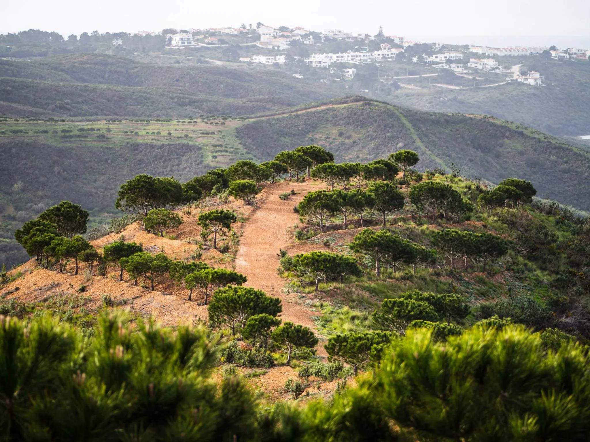 Salthouse Portugal - Exclusive East Apartment