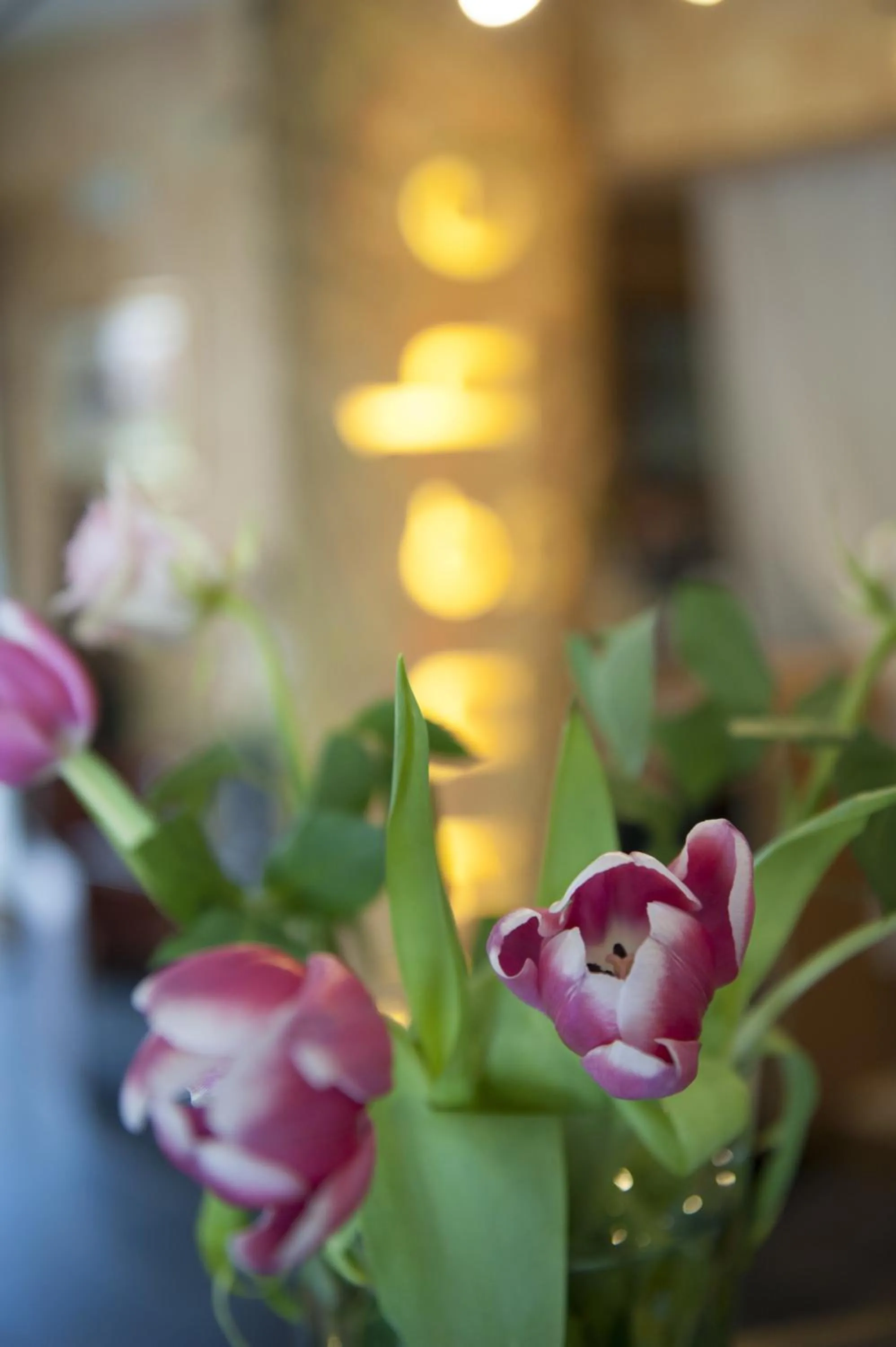 Other in Hotel Langhe