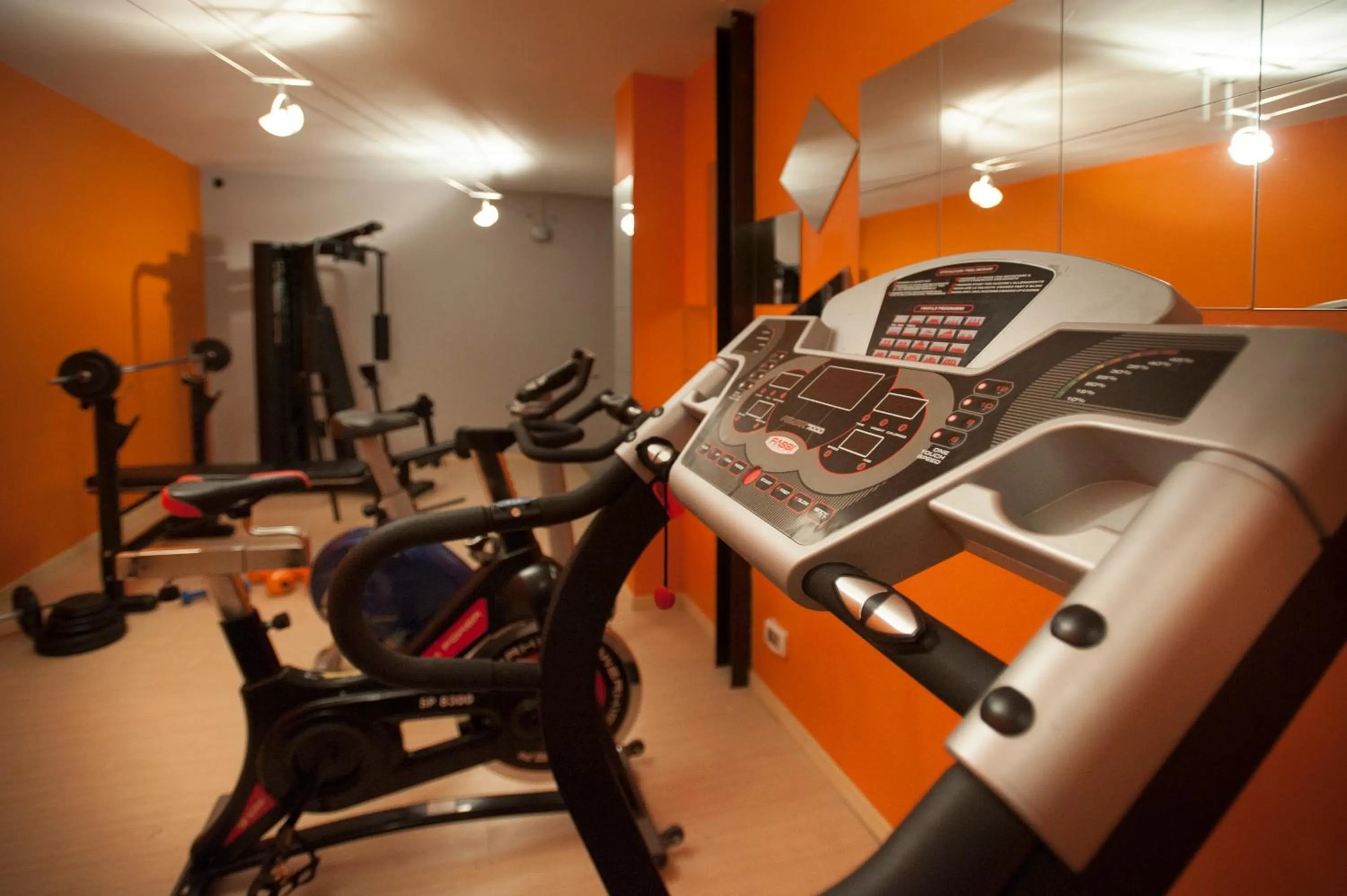 Fitness centre/facilities in Hotel Langhe