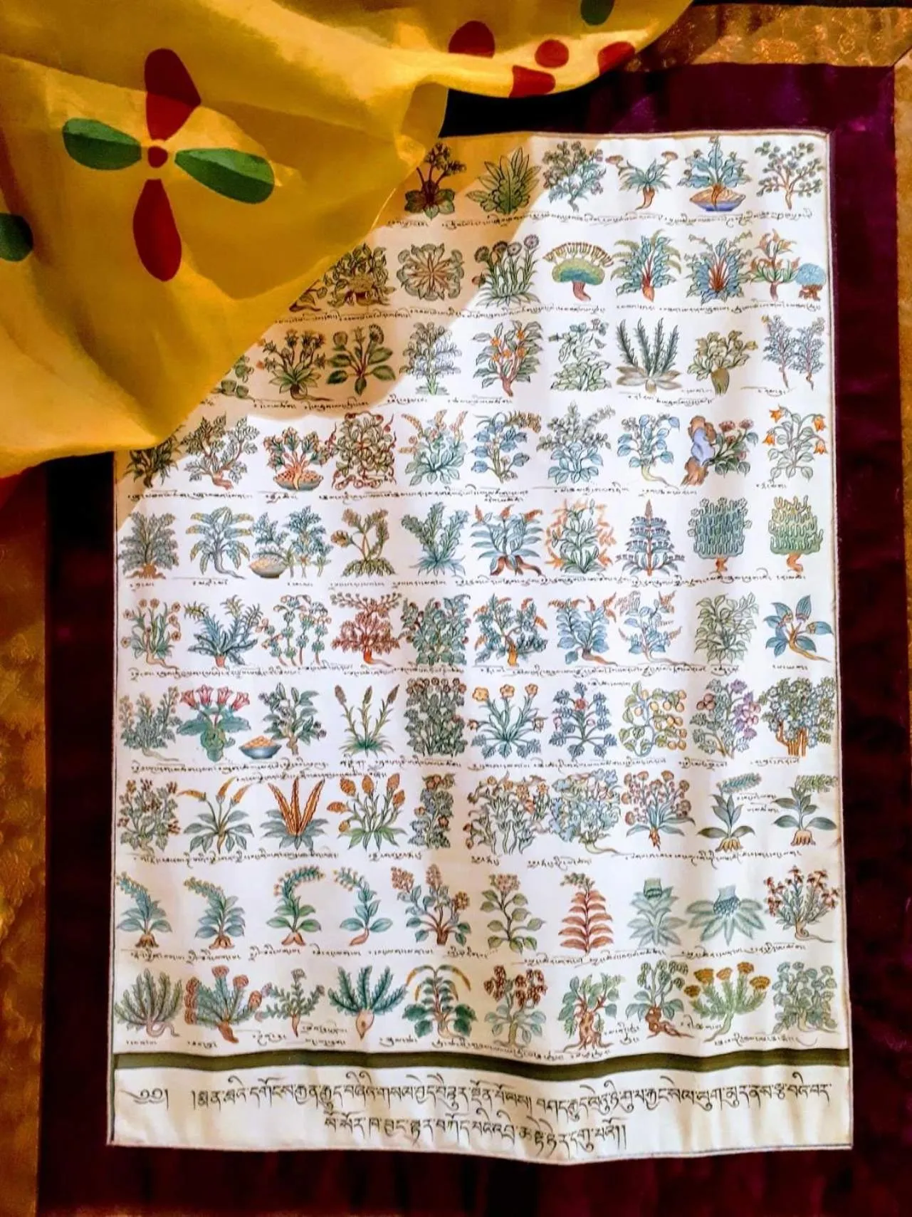 Decorative detail in B&B Saluzzo Paesana 1718