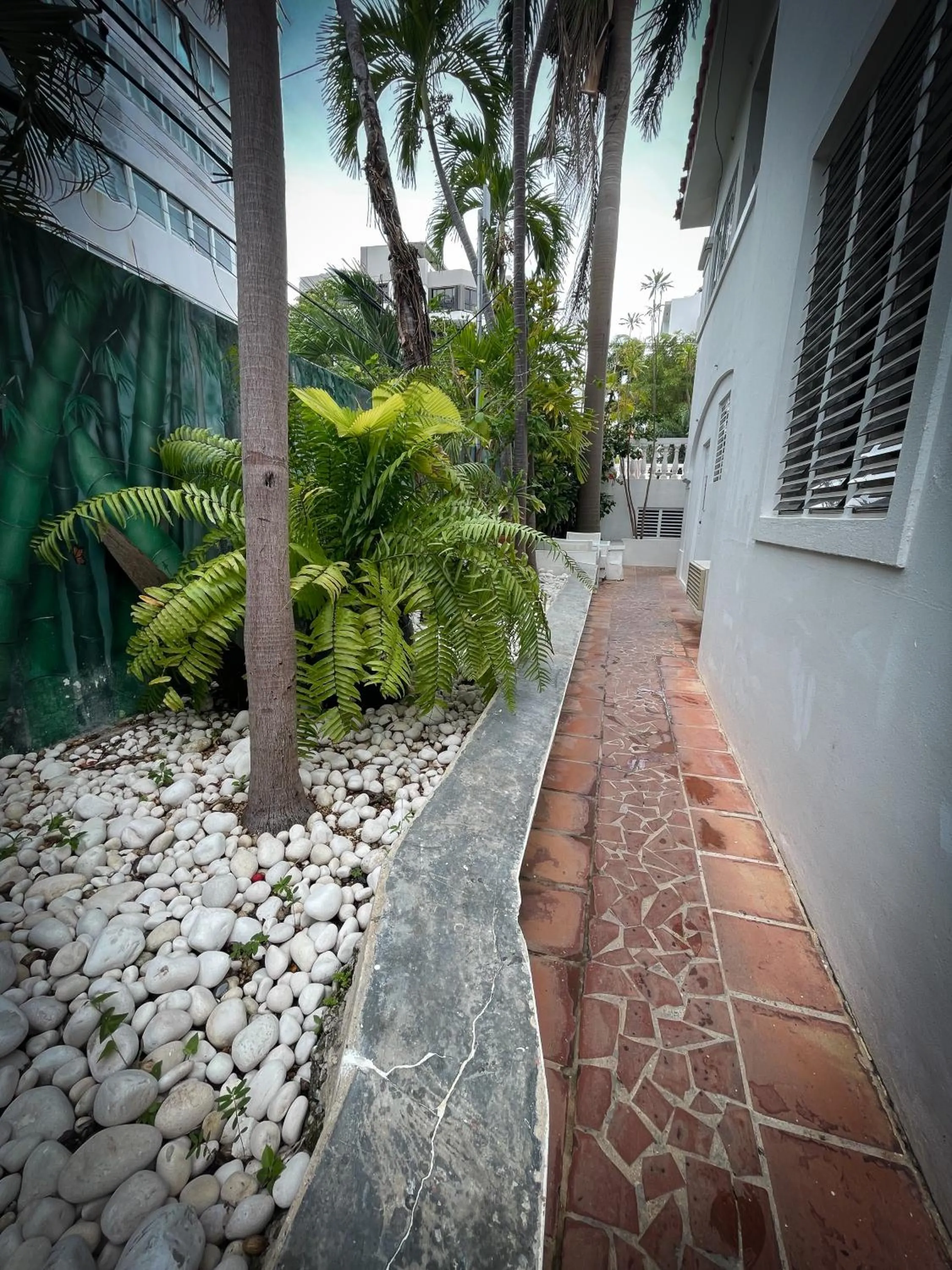 Garden in At Wind Chimes Boutique Hotel