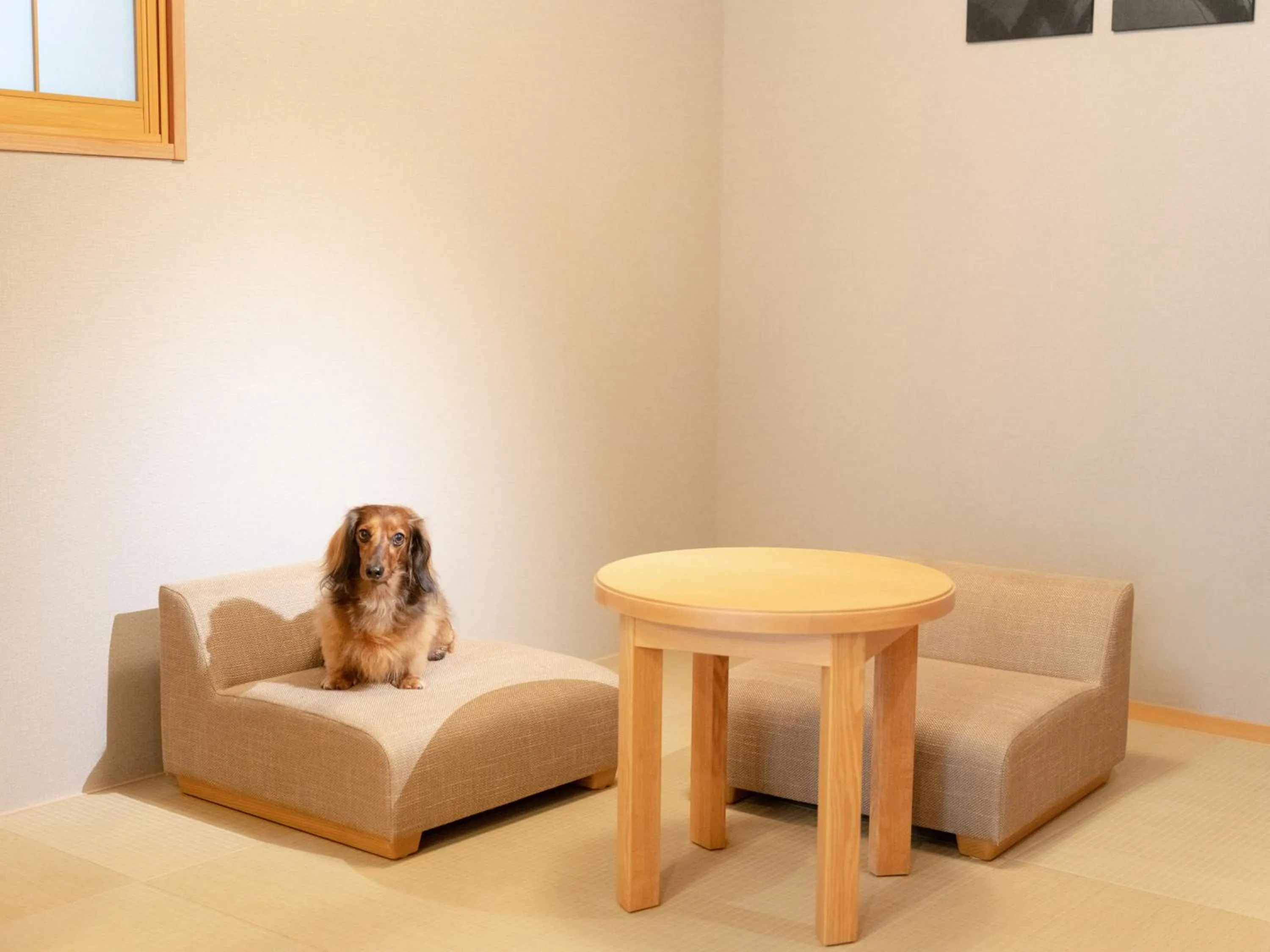 Dog-Friendly Japanese Suite in MIMARU SUITES Tokyo Asakusa
