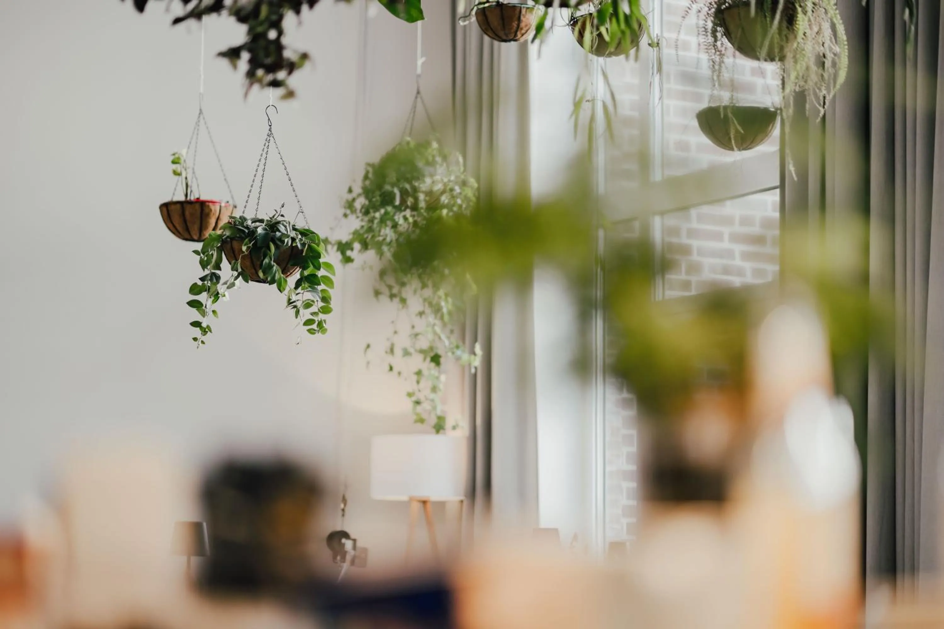 Lobby or reception in The Layhead B&B