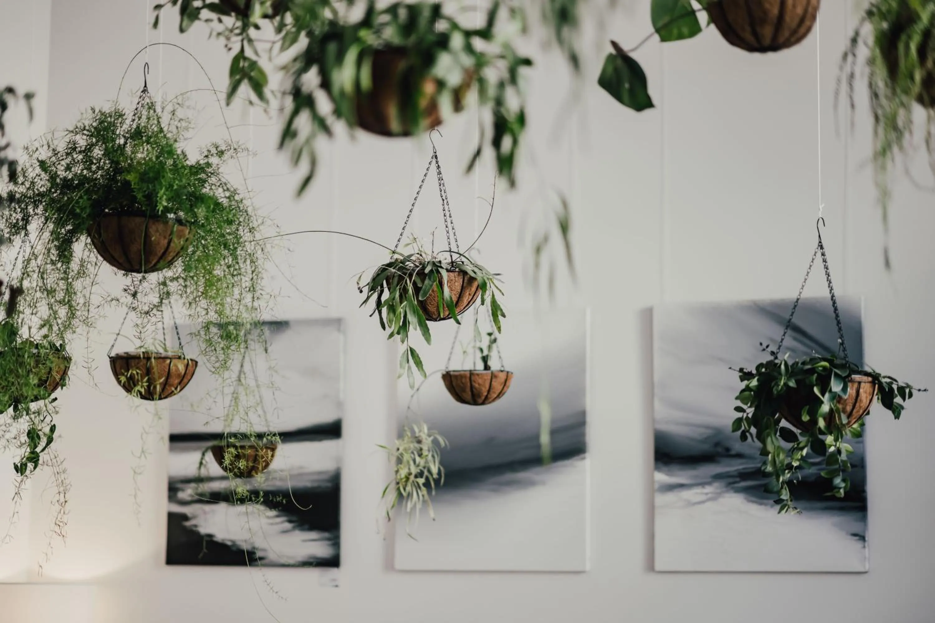 Lobby or reception in The Layhead B&B