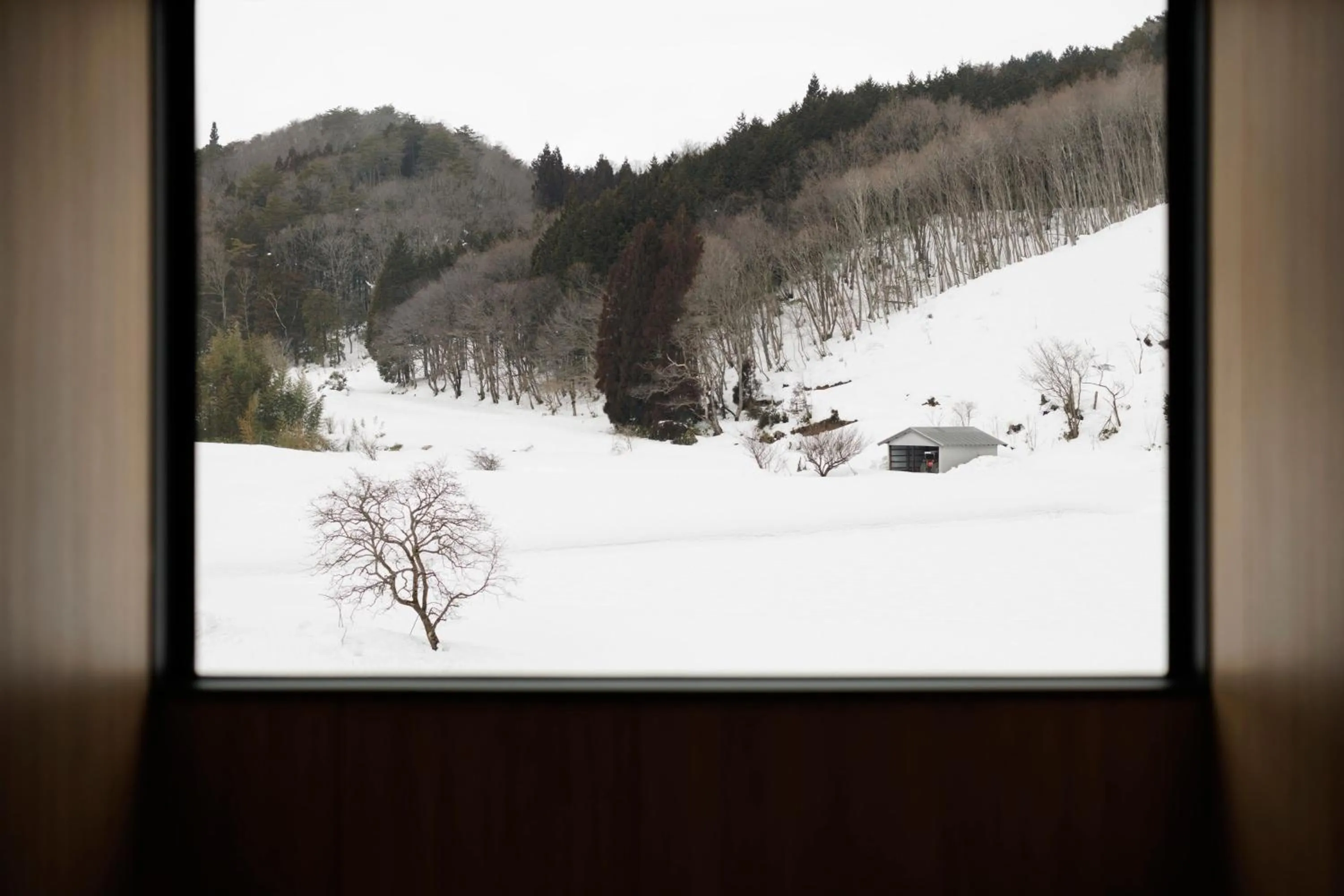 Photo of the whole room in Fairfield by Marriott Okayama Hiruzen Highland