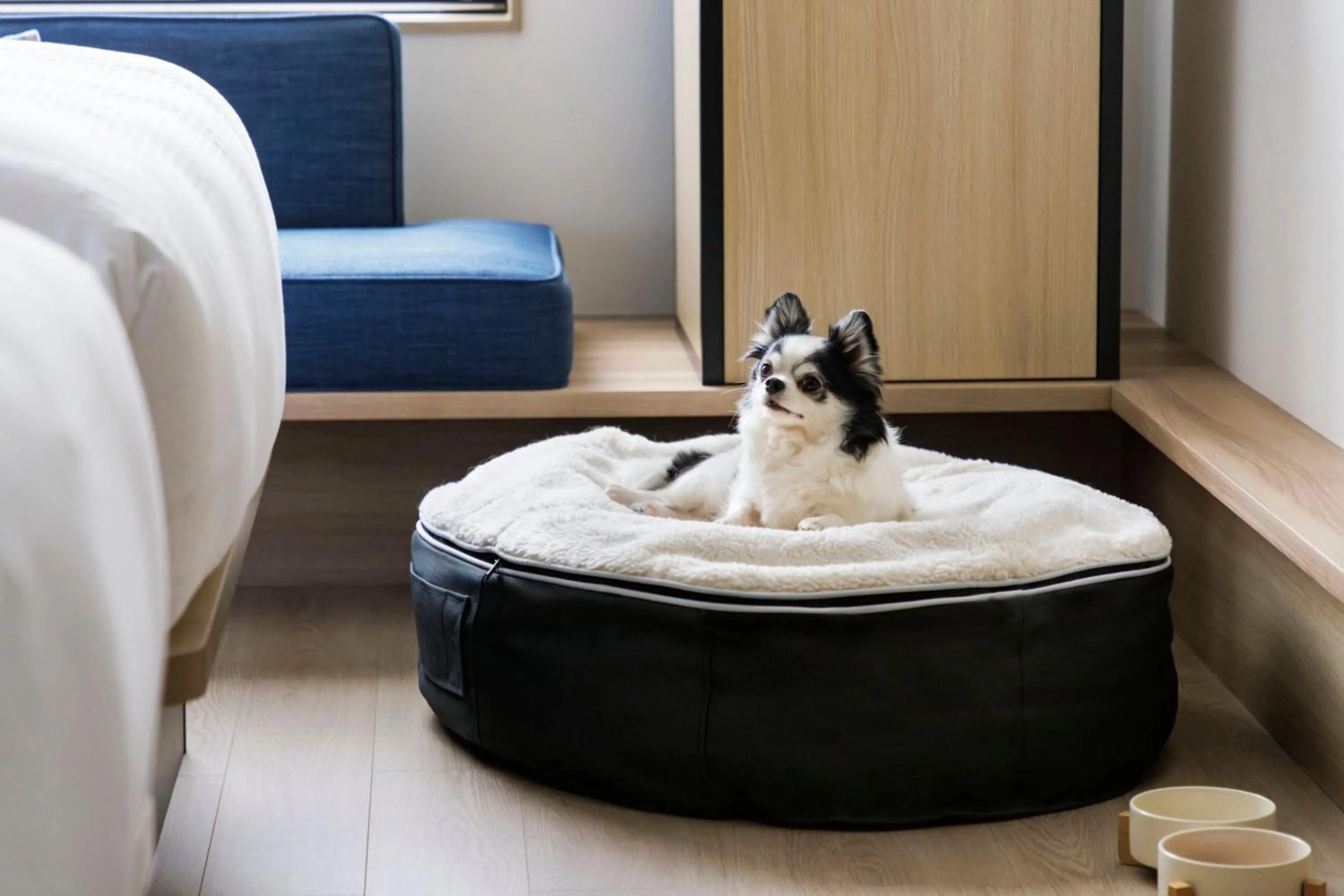 Photo of the whole room in Fairfield by Marriott Okayama Hiruzen Highland