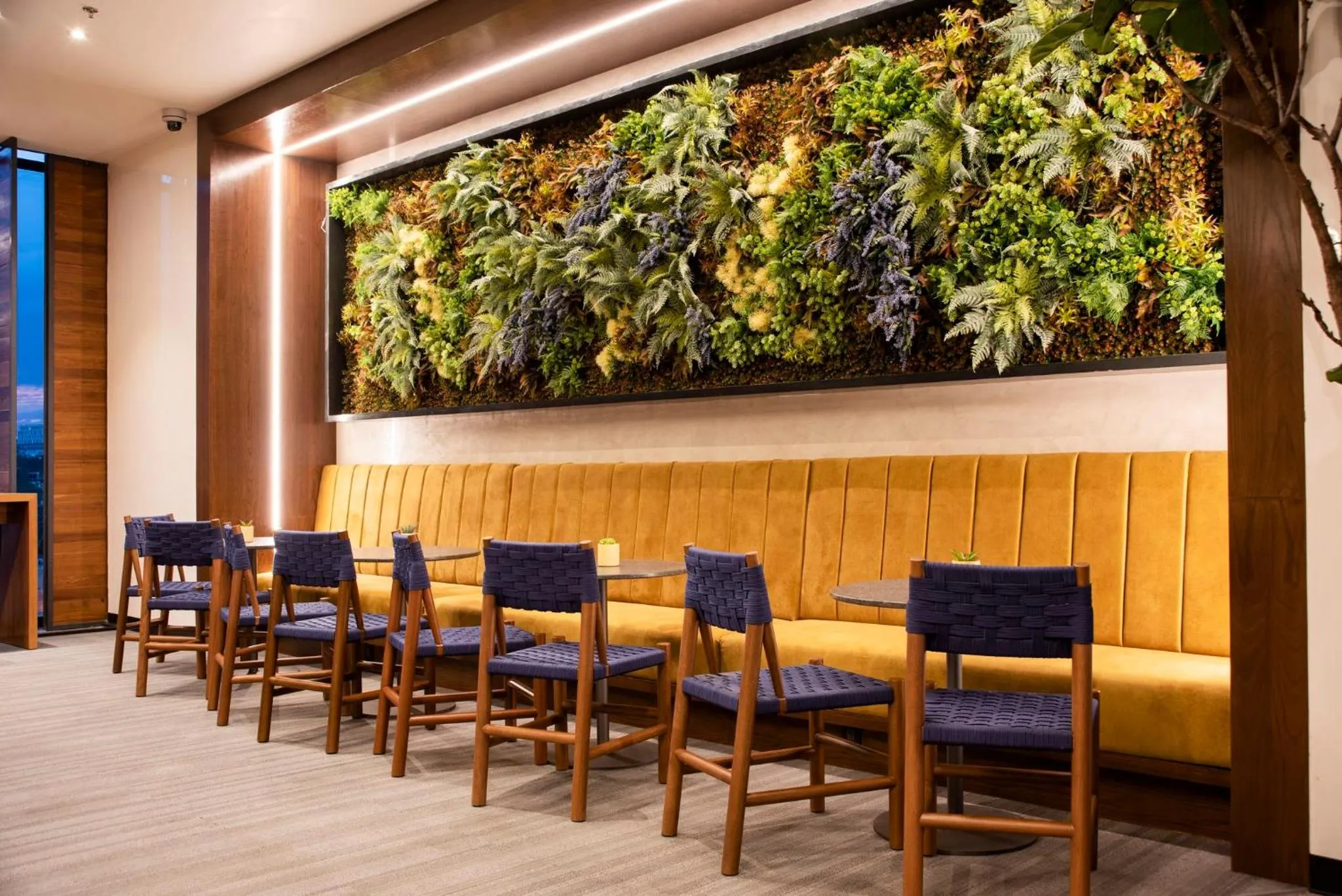 Property building in voco Guadalajara Neruda by IHG