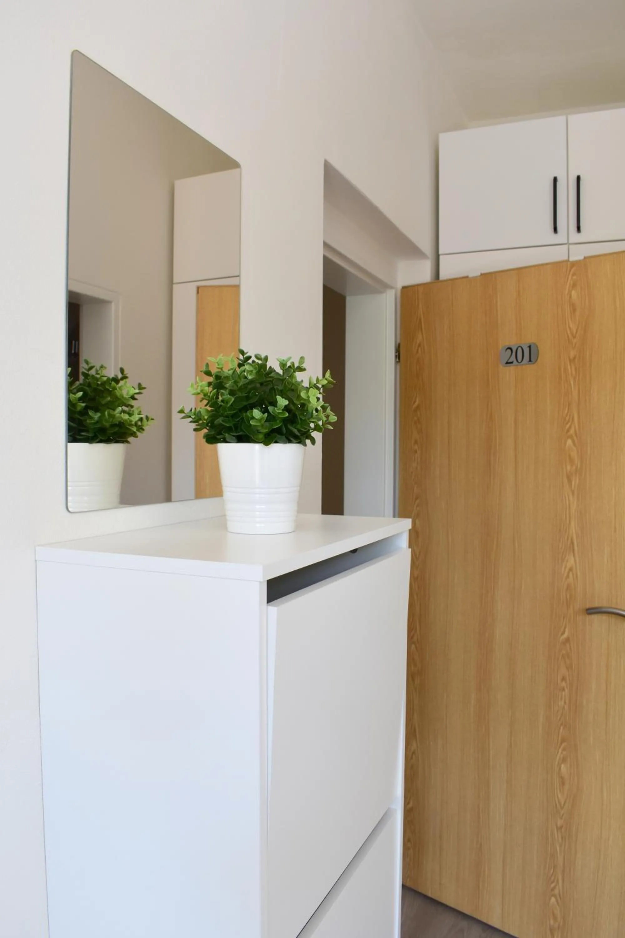 storage in Seifert Residence