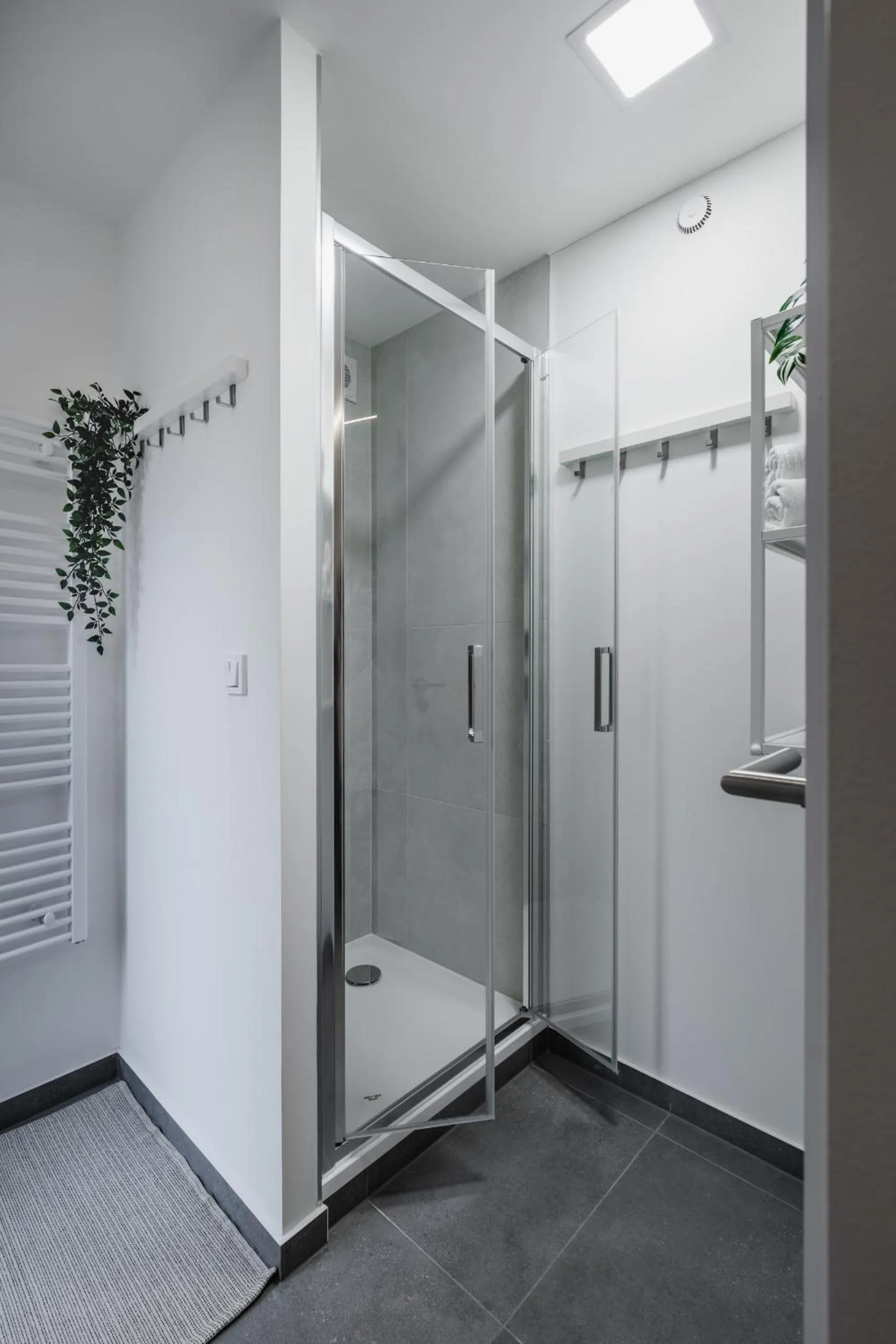 Shower in Seifert Residence