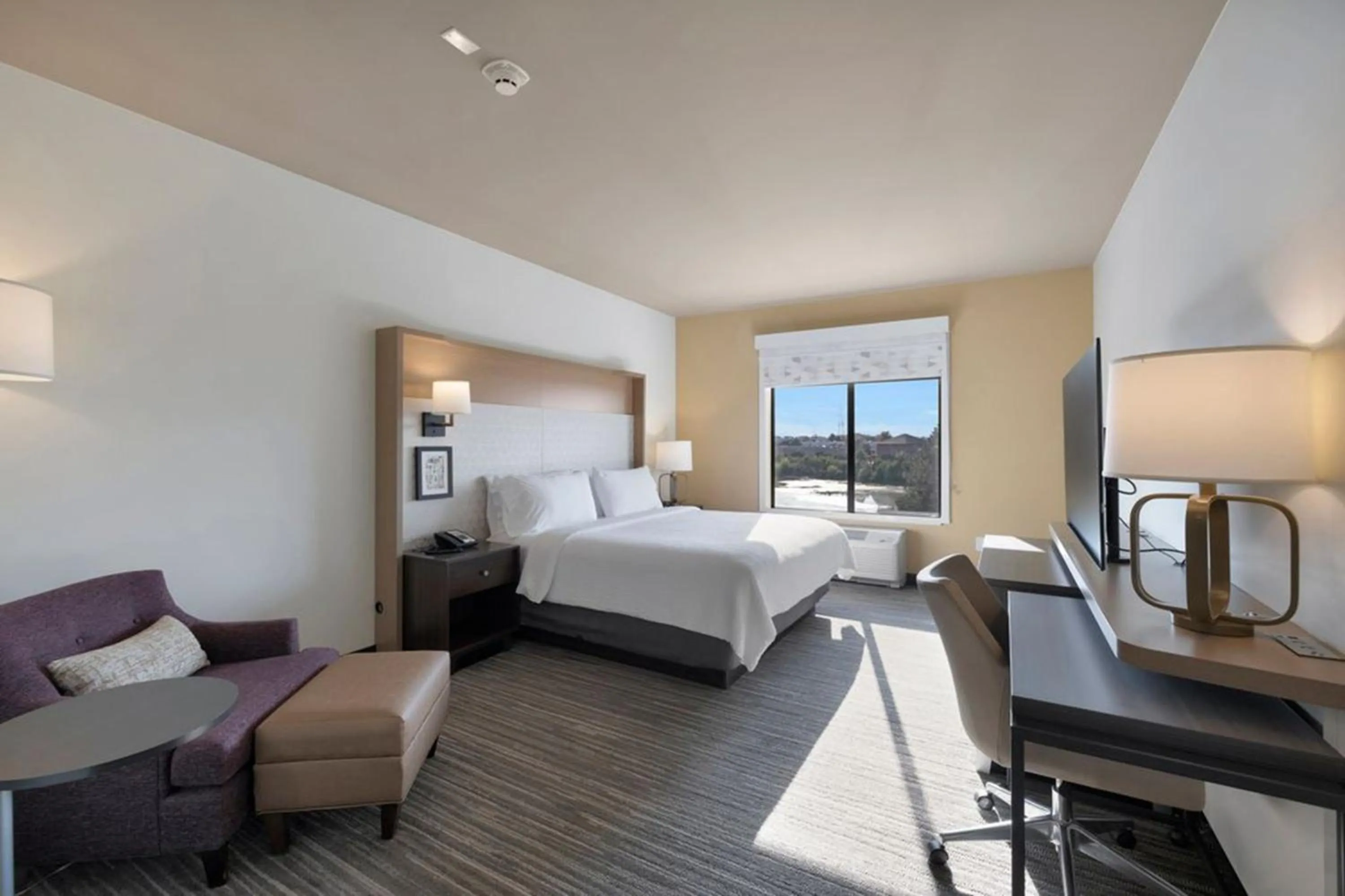 Photo of the whole room, Bed in Holiday Inn - Chicago - Tinley Park by IHG