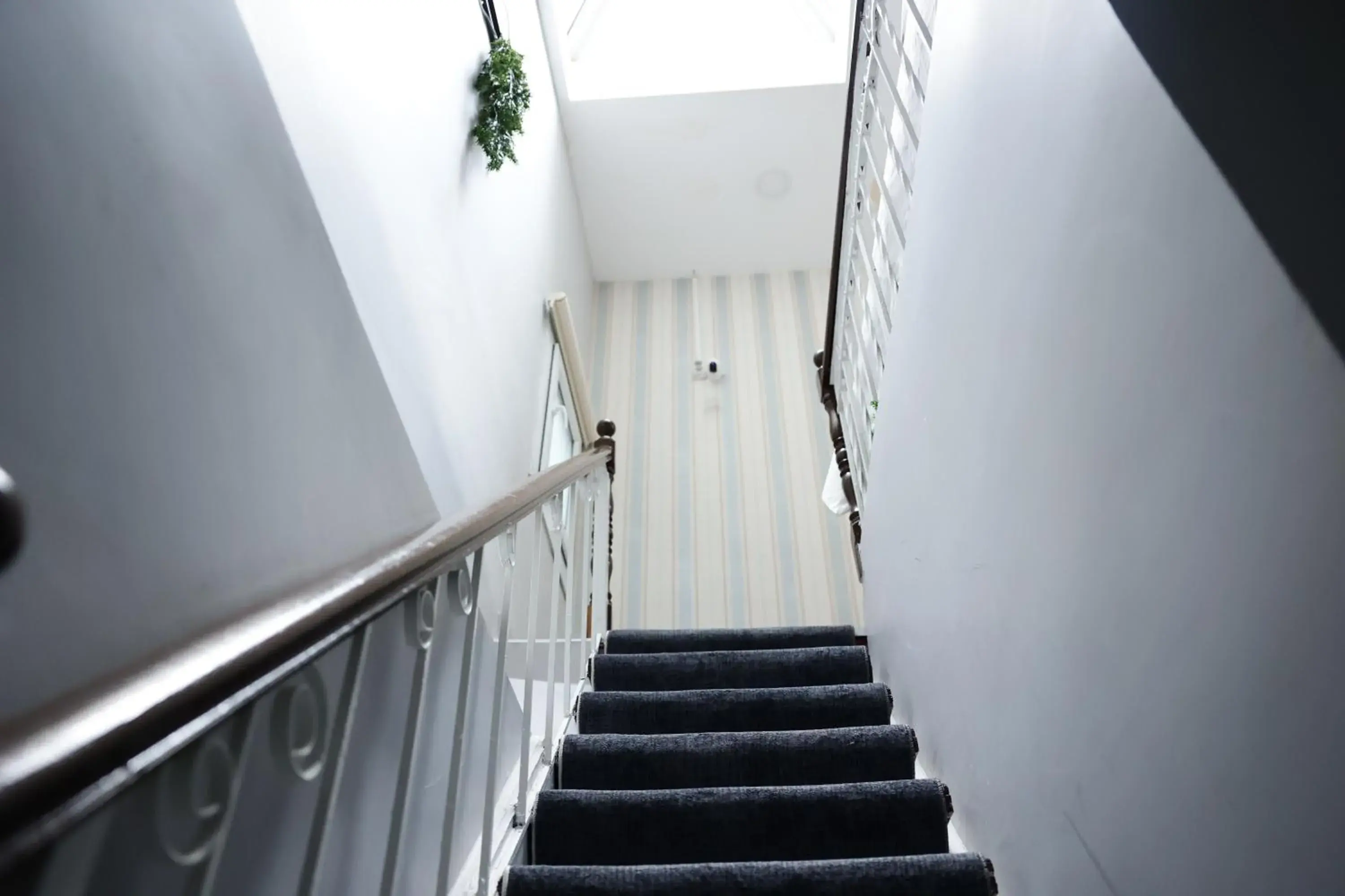 Restaurant/places to eat in Bonita Apart Restaurant/places to eat in Bonita Apart