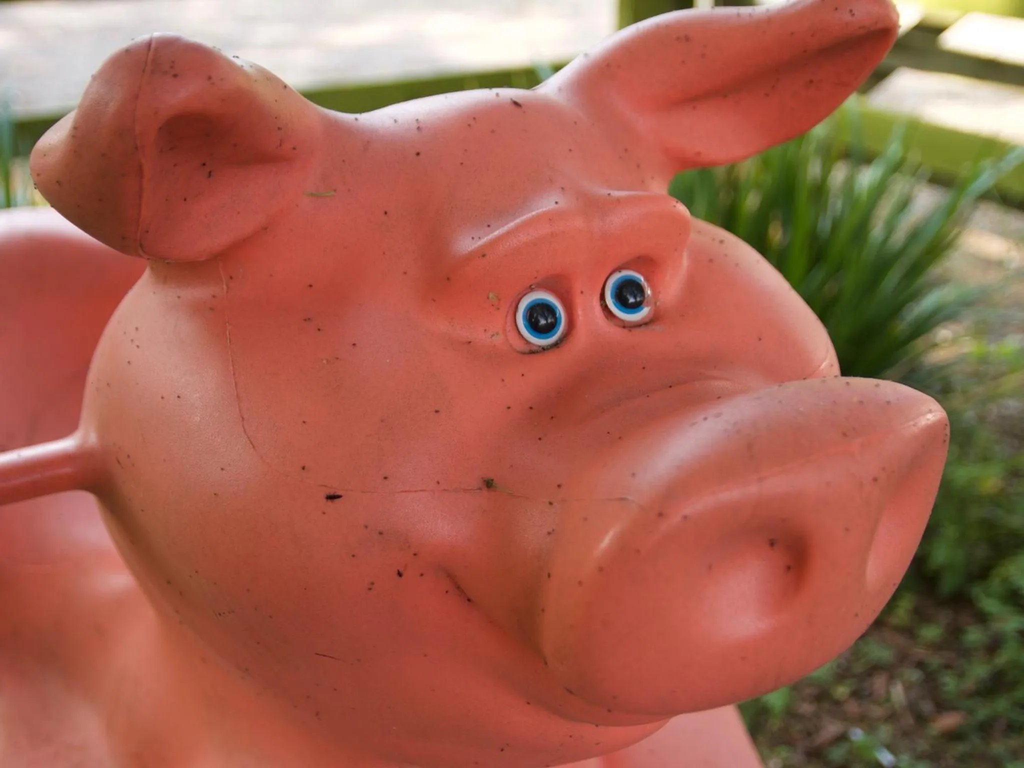 Activities in The Chestnuts Holiday Cottages