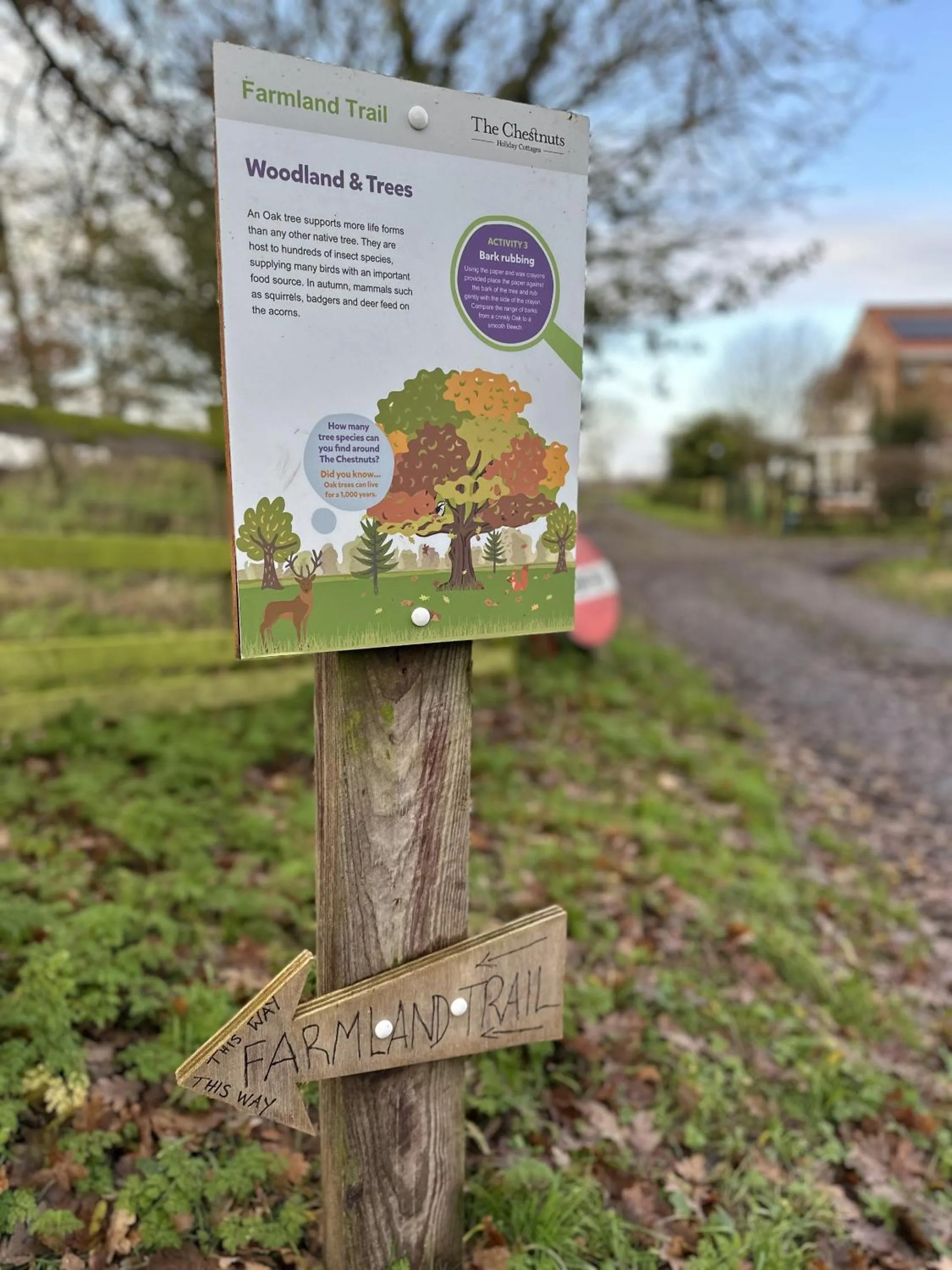 Other in The Chestnuts Holiday Cottages