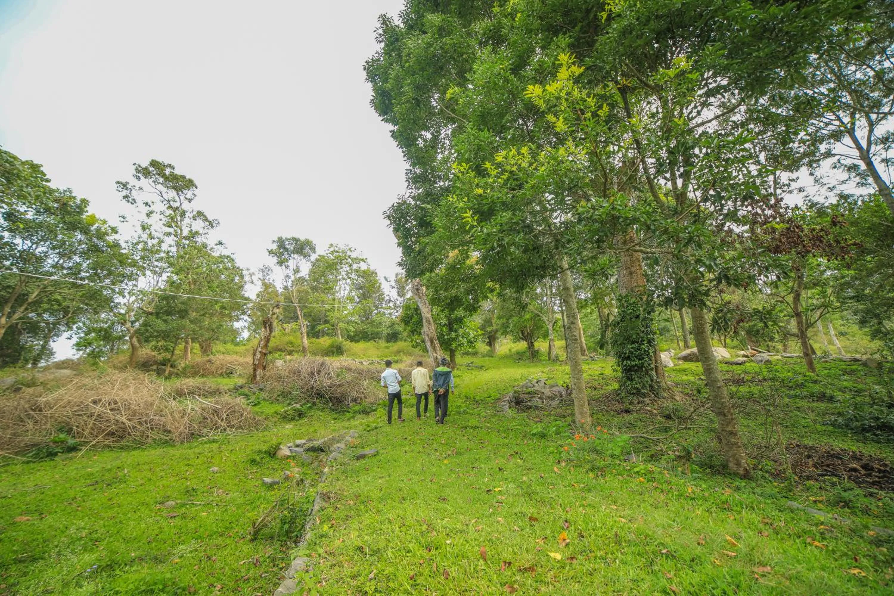 Natural landscape in WOW Bison Woods Organic Veg Resort - Yercaud