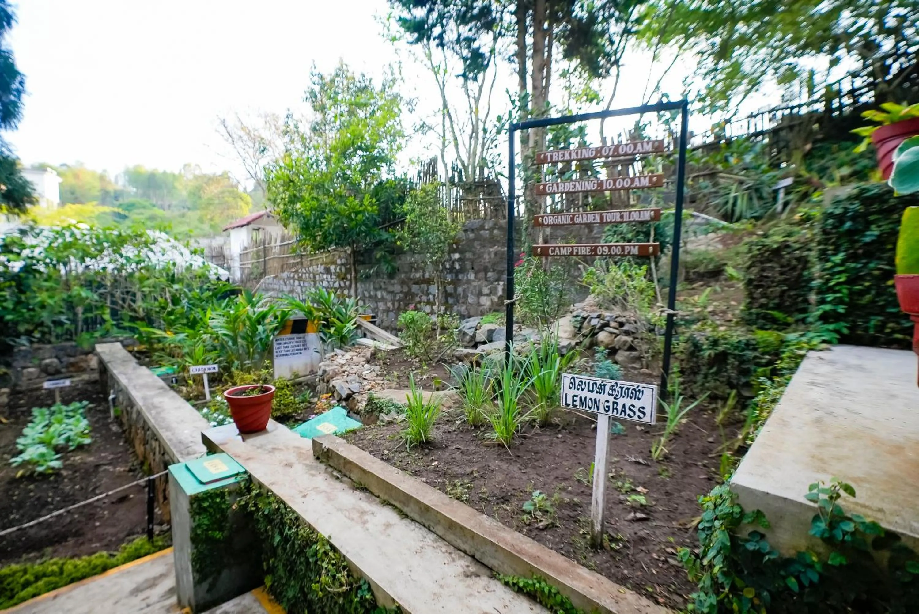 Garden in WOW Bison Woods Organic Veg Resort - Yercaud