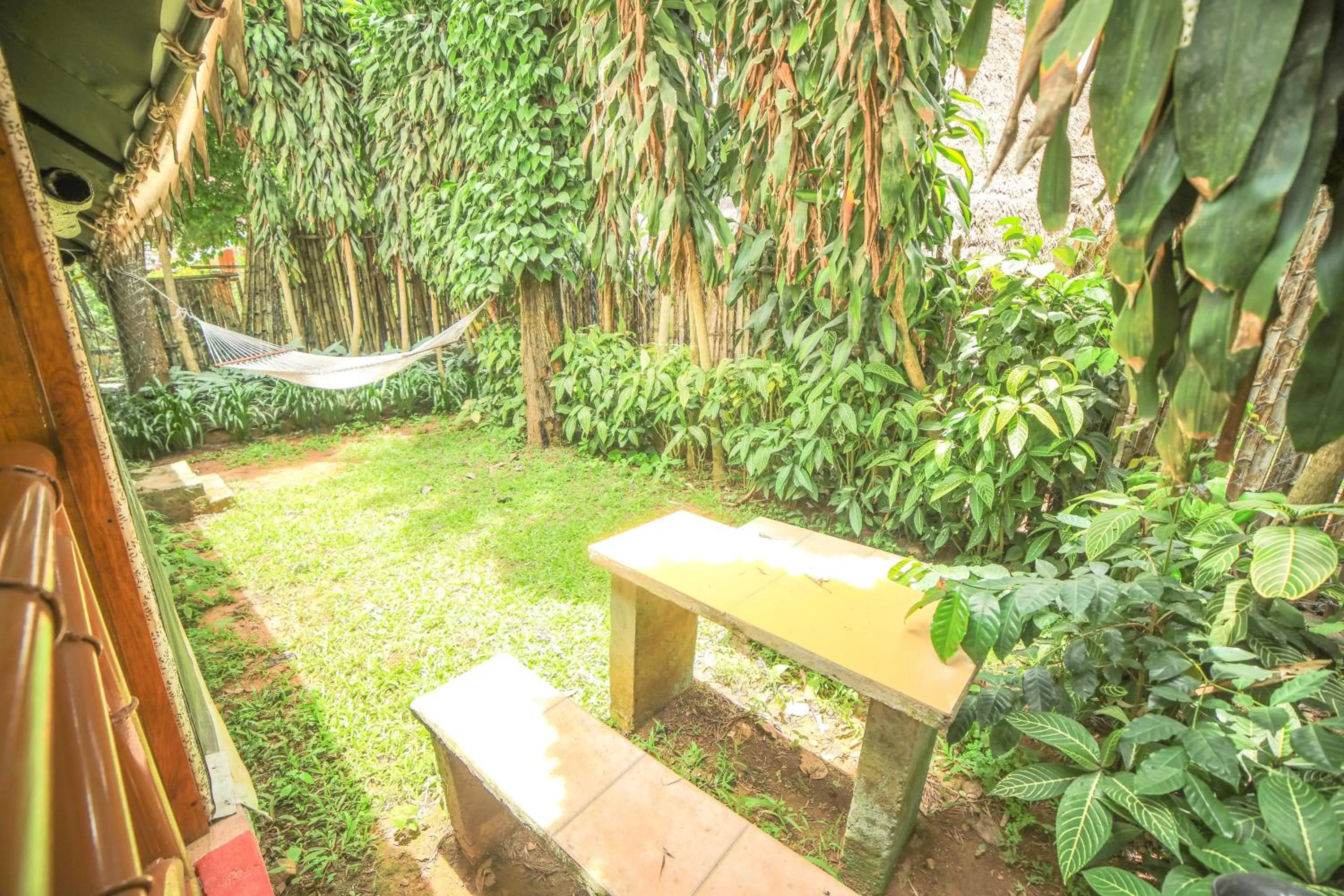 Garden in WOW Bison Woods Organic Veg Resort - Yercaud